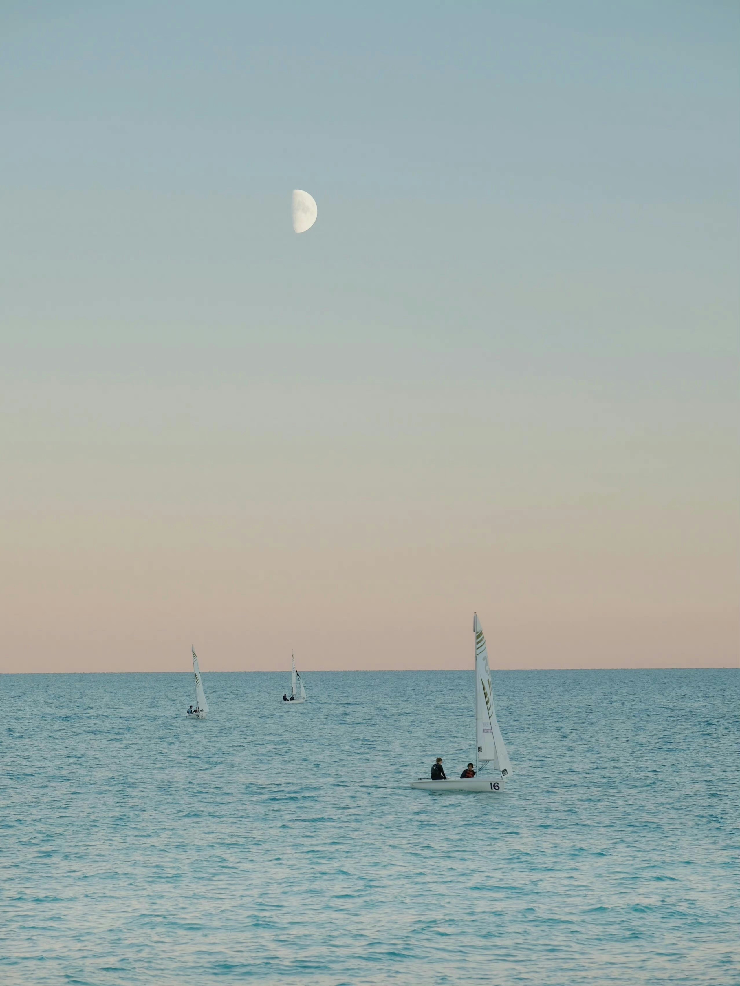 Go to Riley Cheng's profile