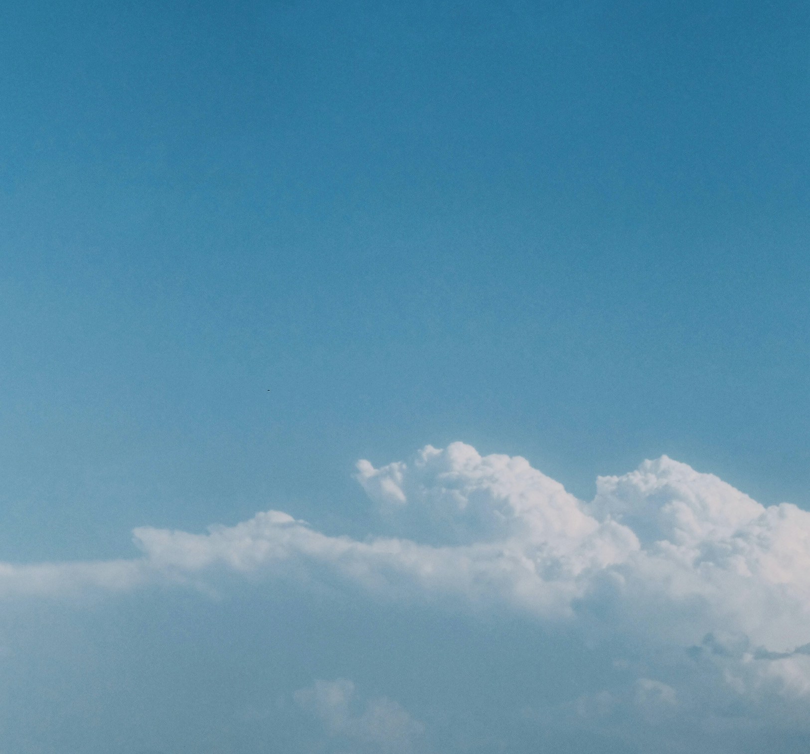 Go to May Cloud's profile