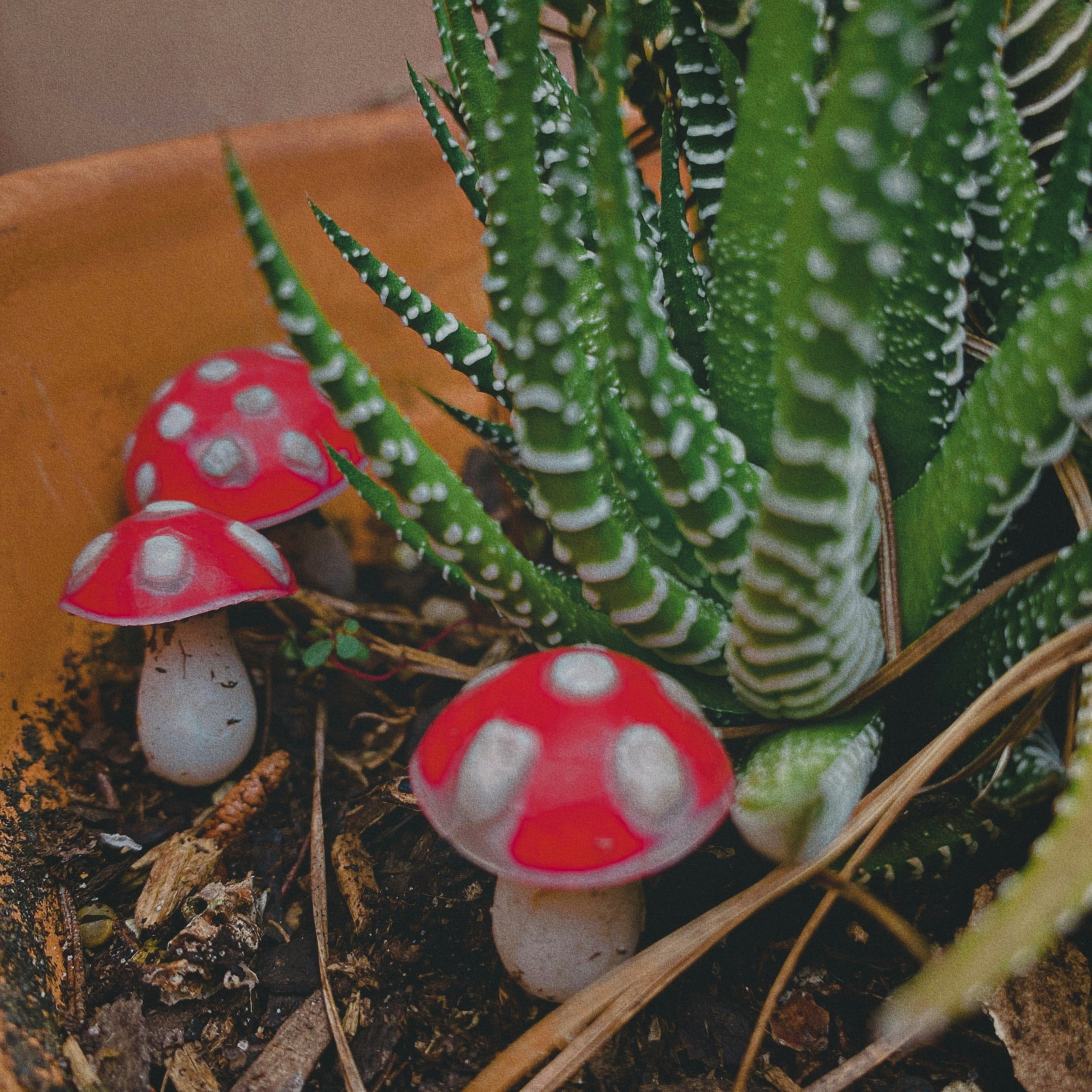 Avatar of user Rebecca McKenzie