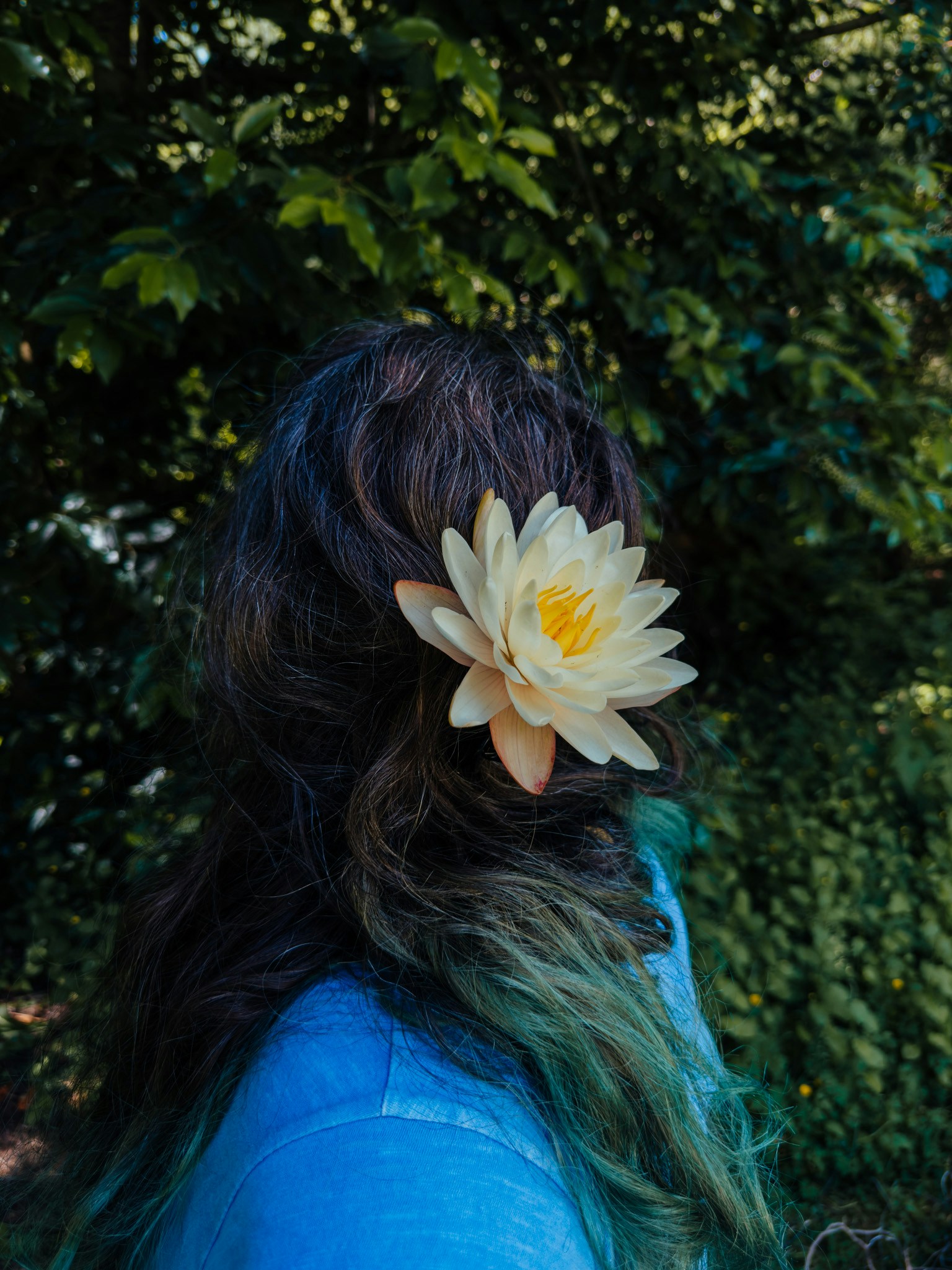 Go to Sia Ray's profile