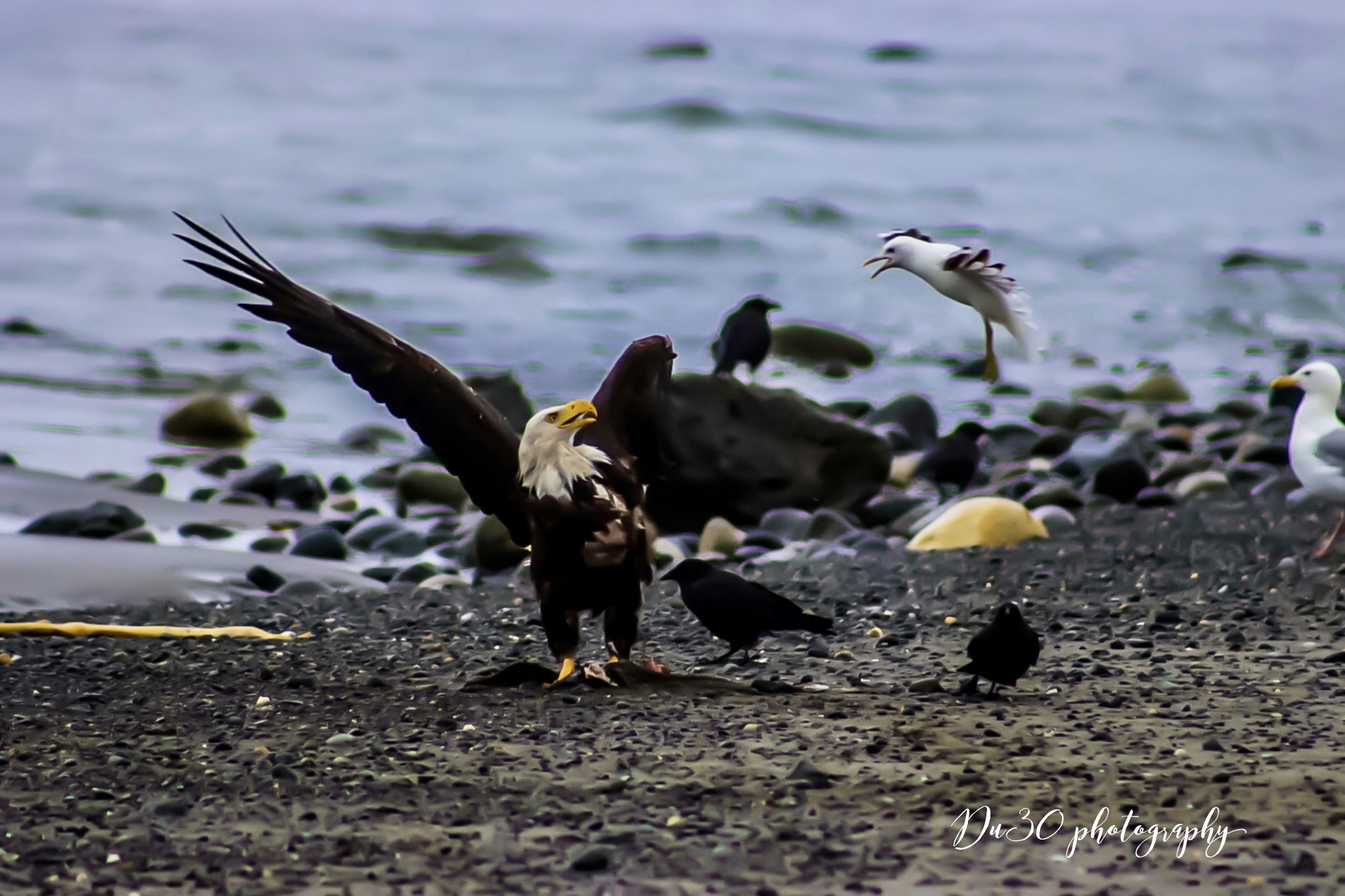 Go to Love Photoroom's profile