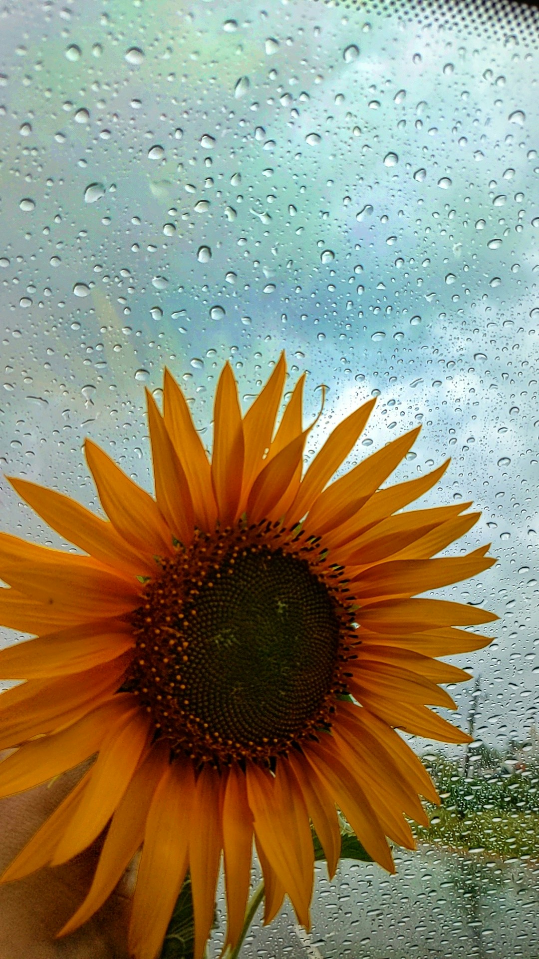 Go to Ahalya Hegde's profile