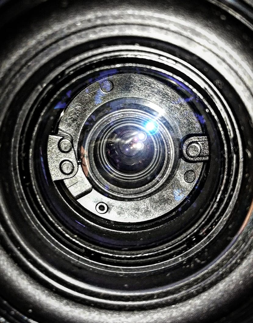 Go to María Del Mar García's profile