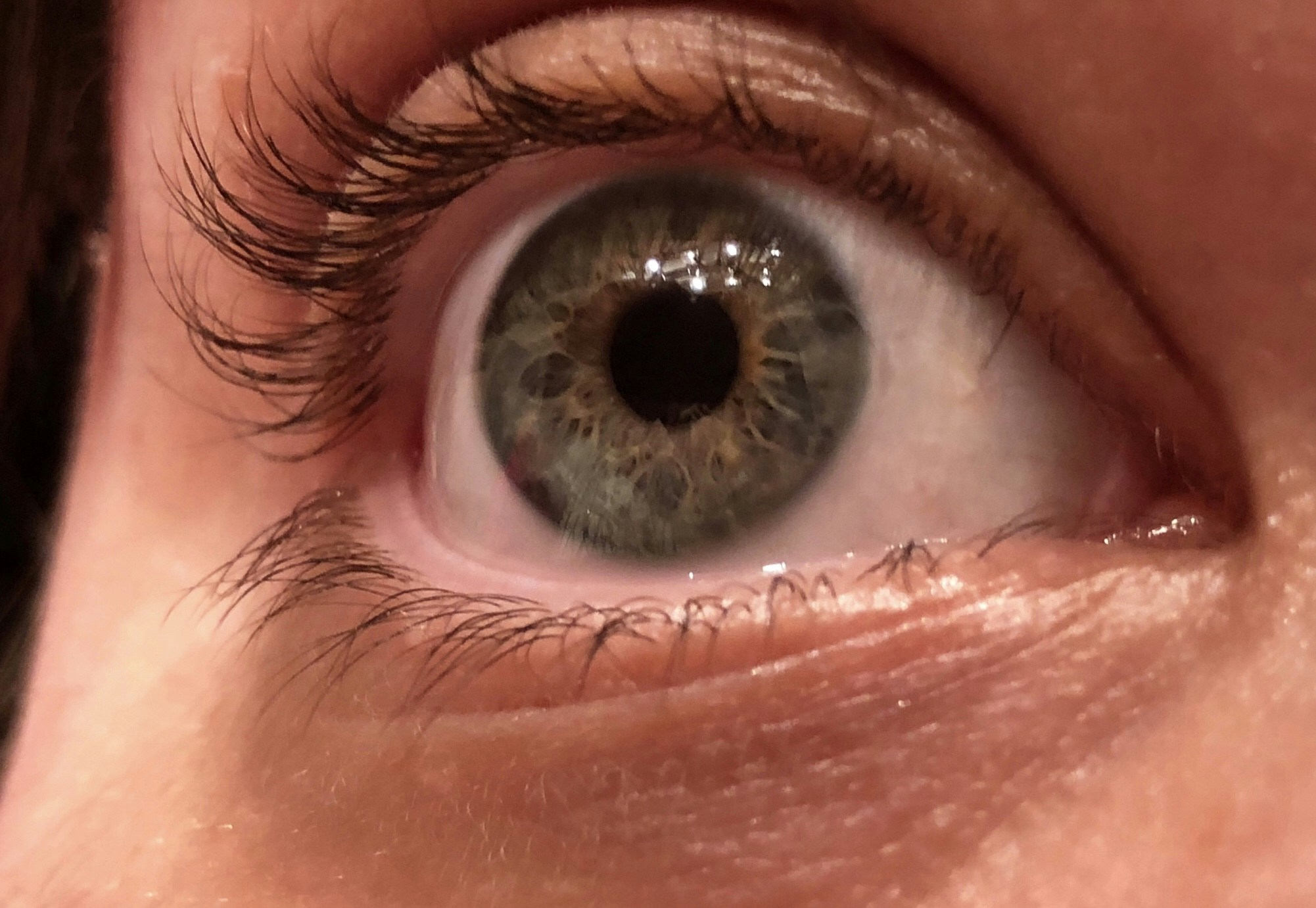 Vai al profilo di Alison Bogart