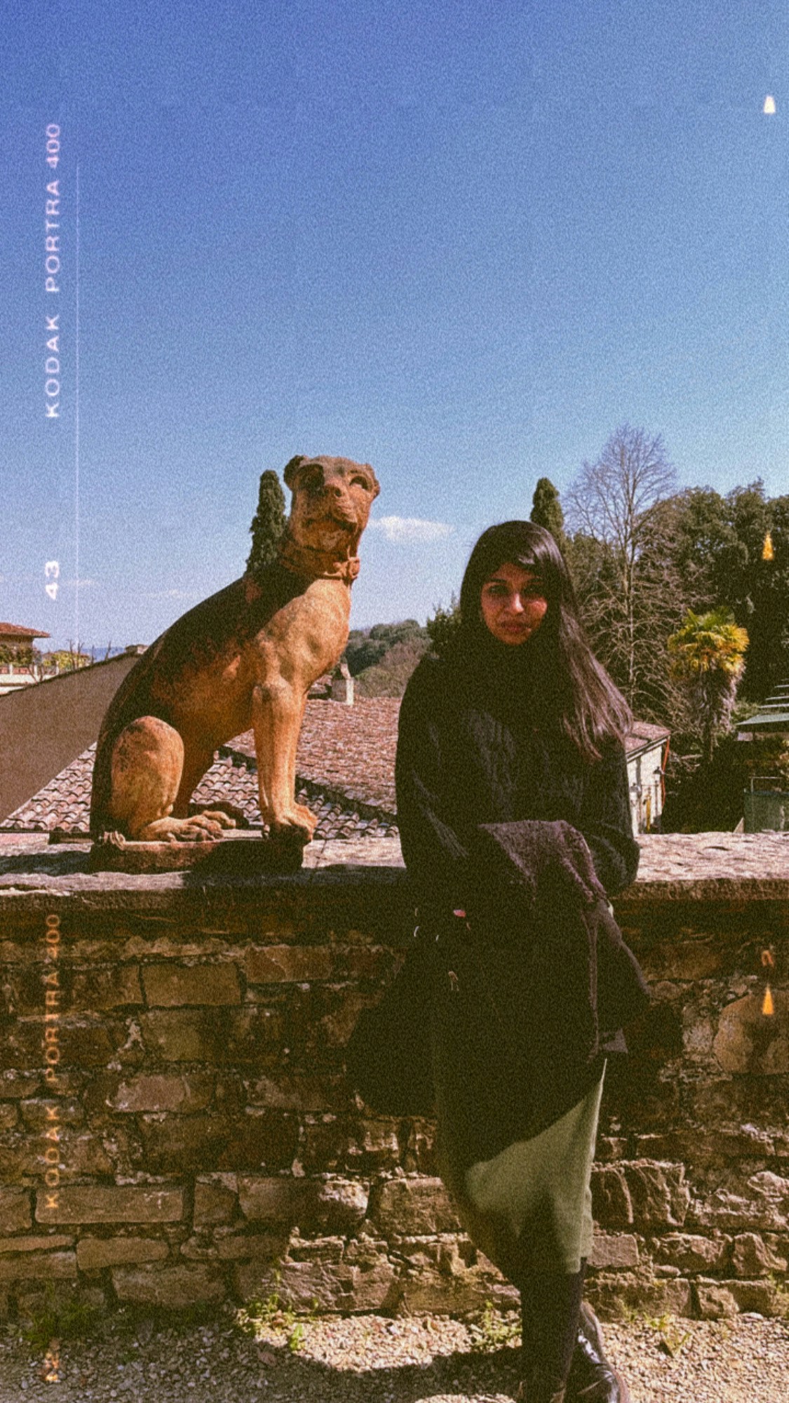 Go to Damini's profile