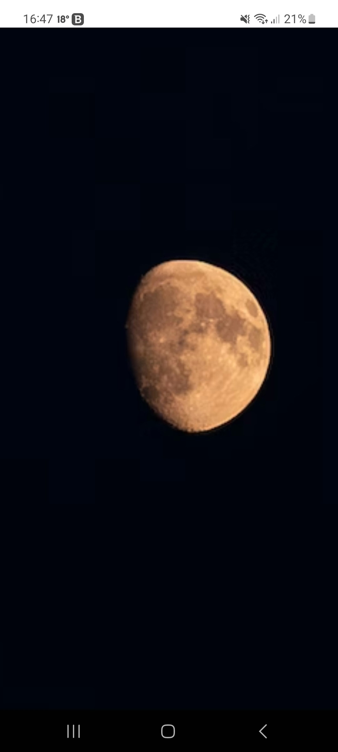 Go to Robert Schneider's profile