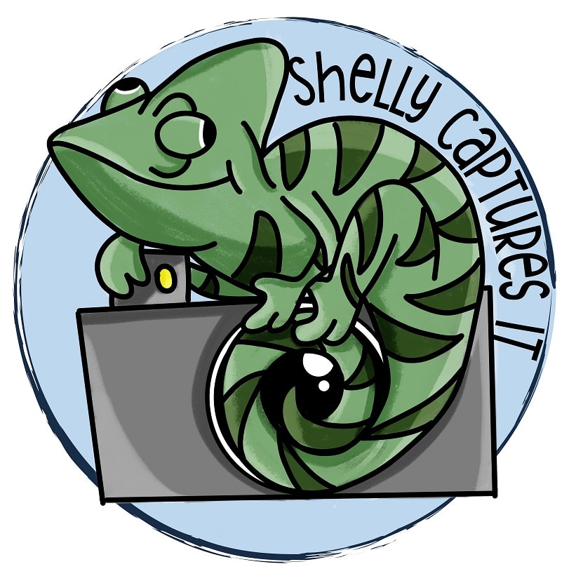 Go to Michelle @Shelly Captures It's profile