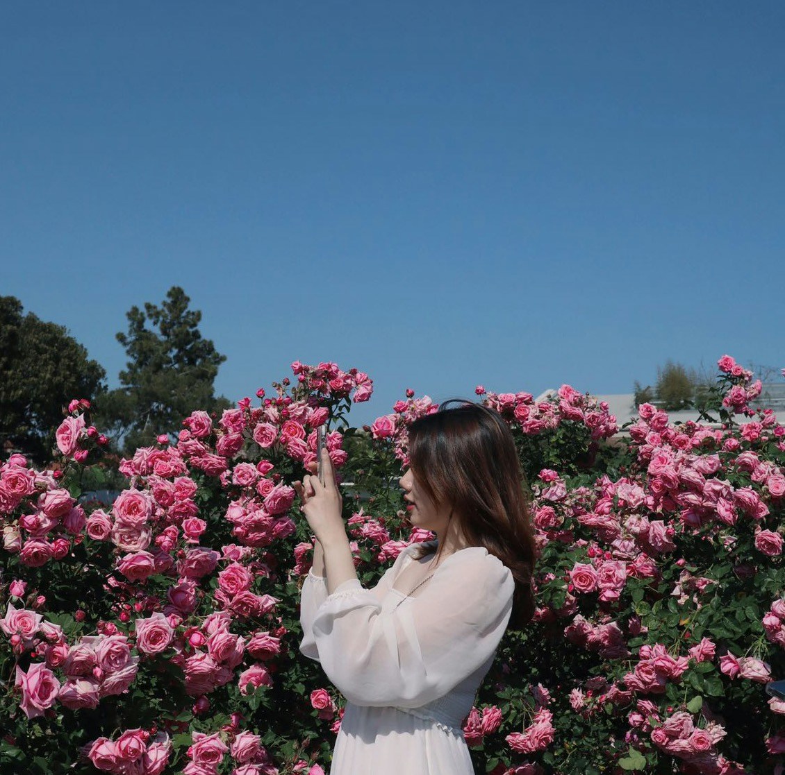 Go to Haoyi Qiu's profile