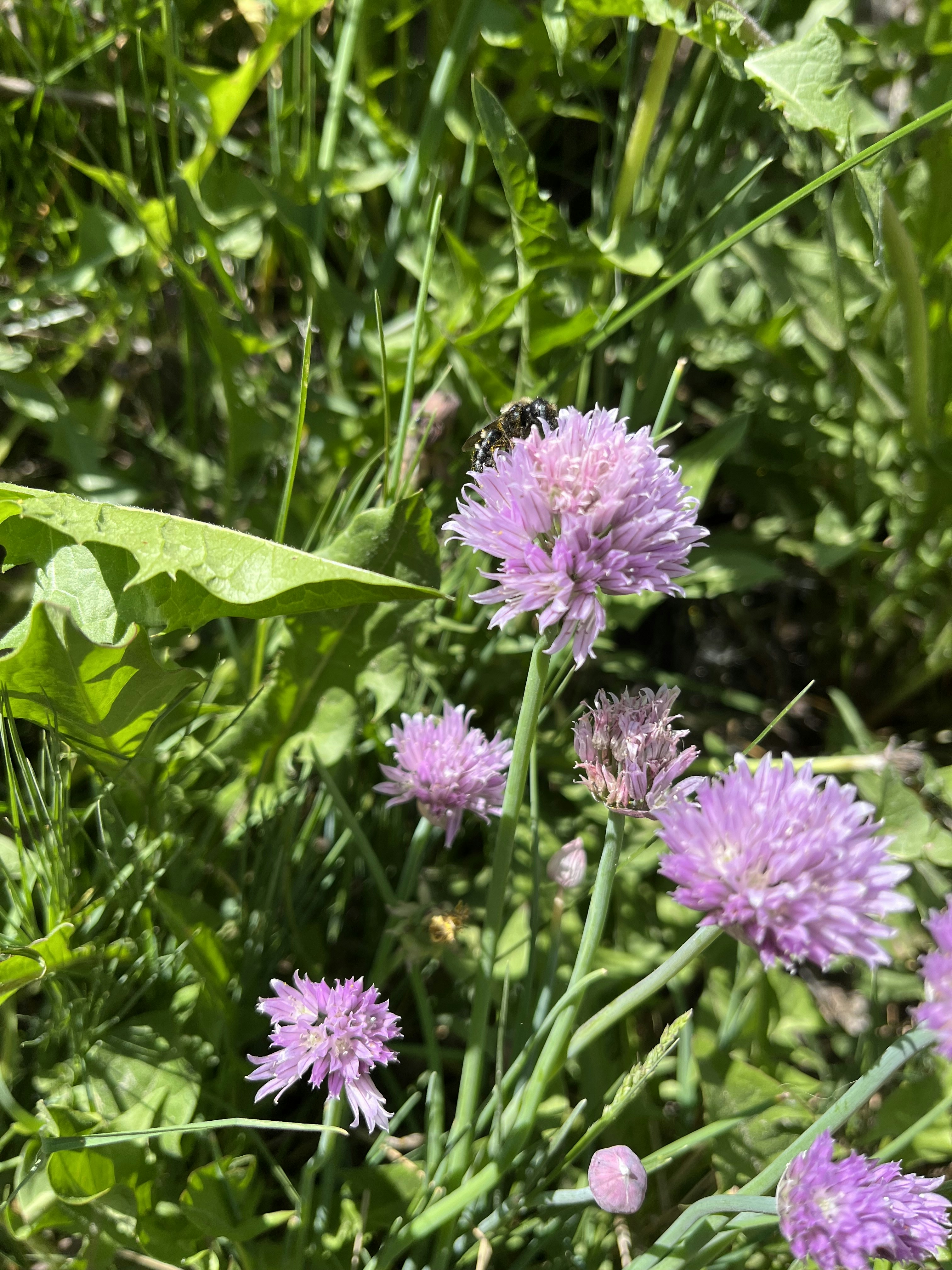 Go to Pen Roberge's profile