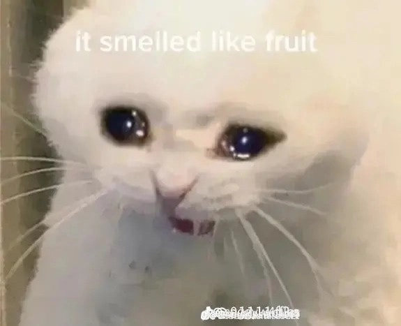 Go to Wiktoria Dragonska's profile