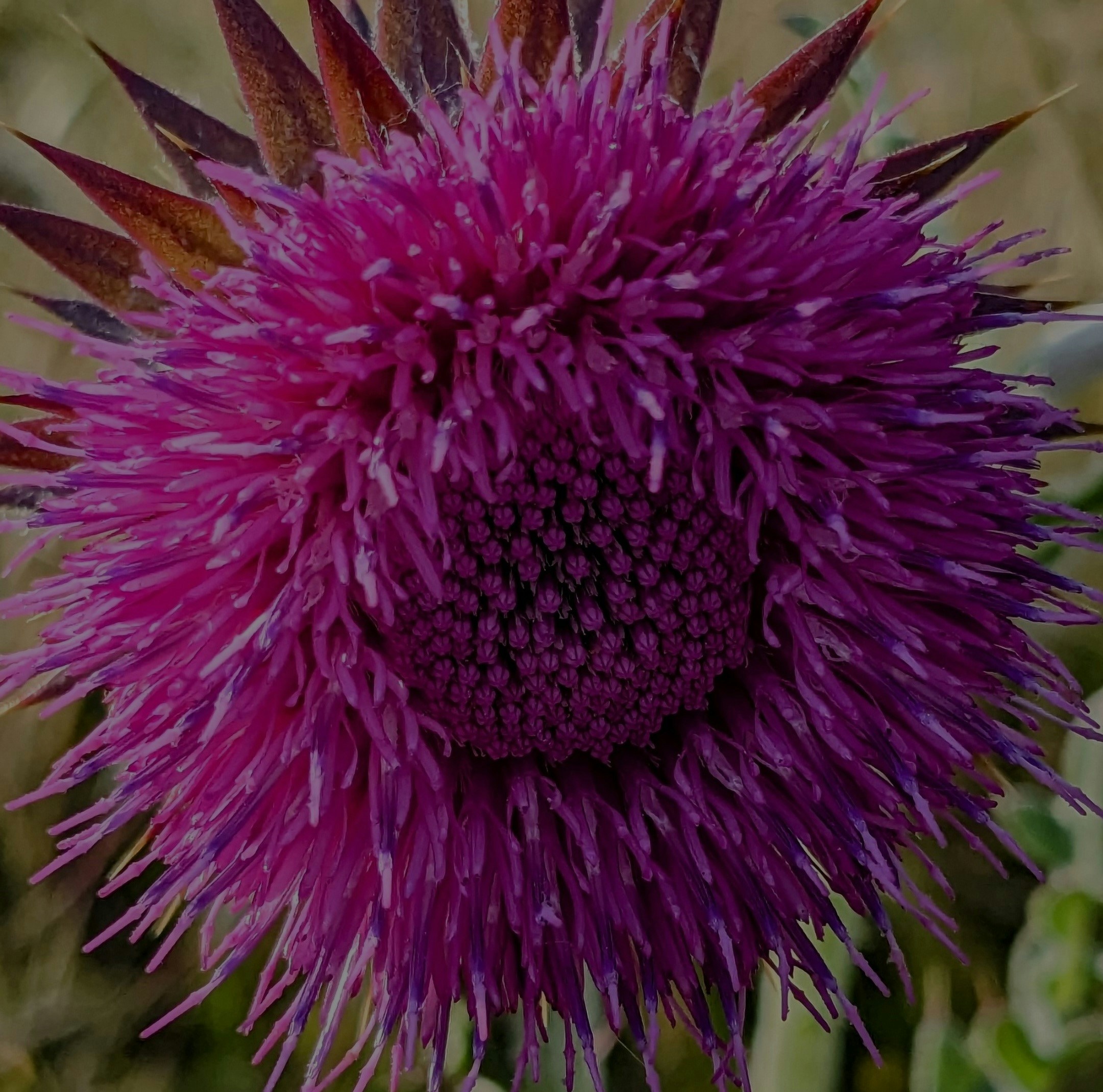 Accéder au profil de Théo Lanles