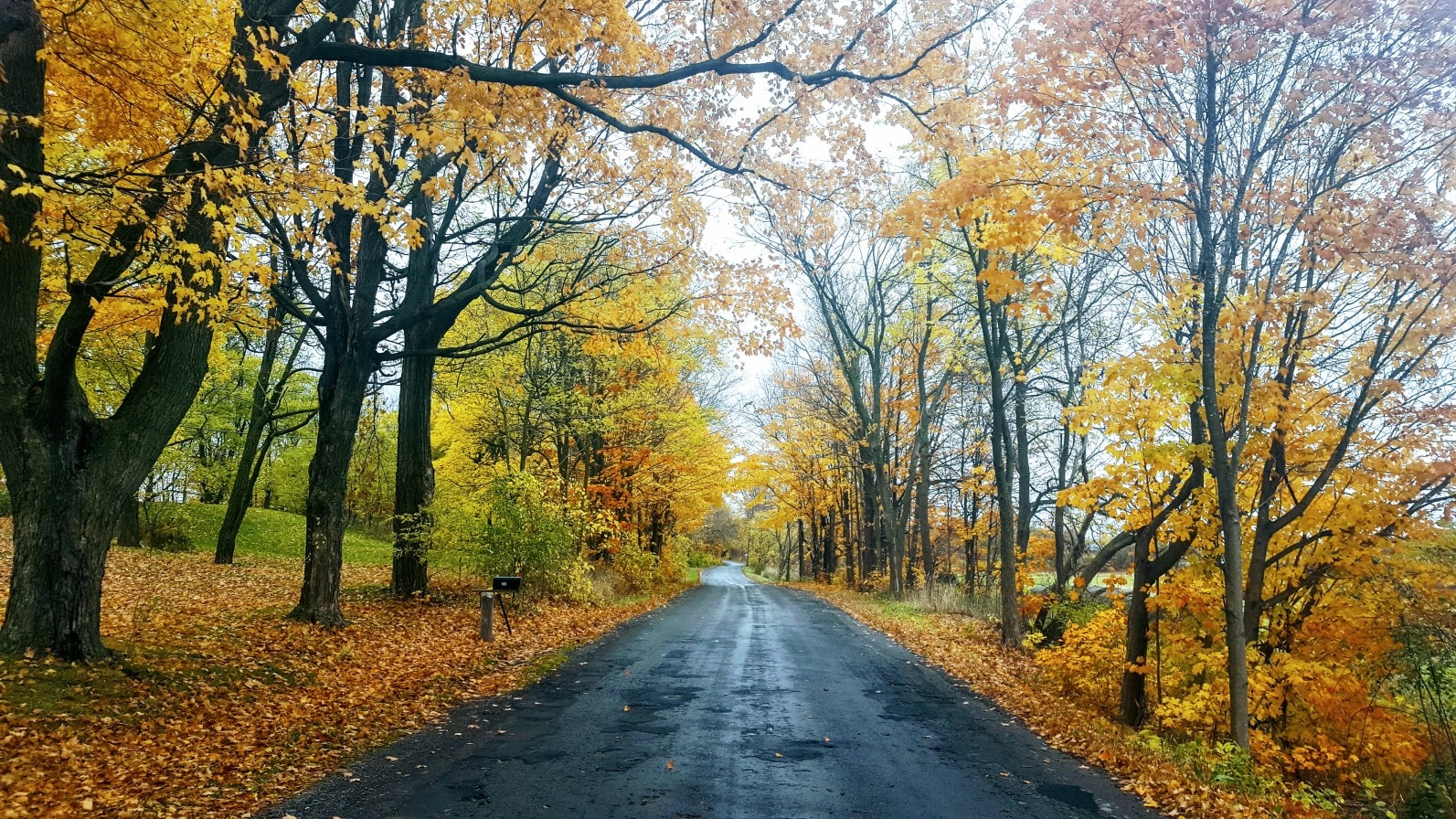 Go to Robert Macleod's profile