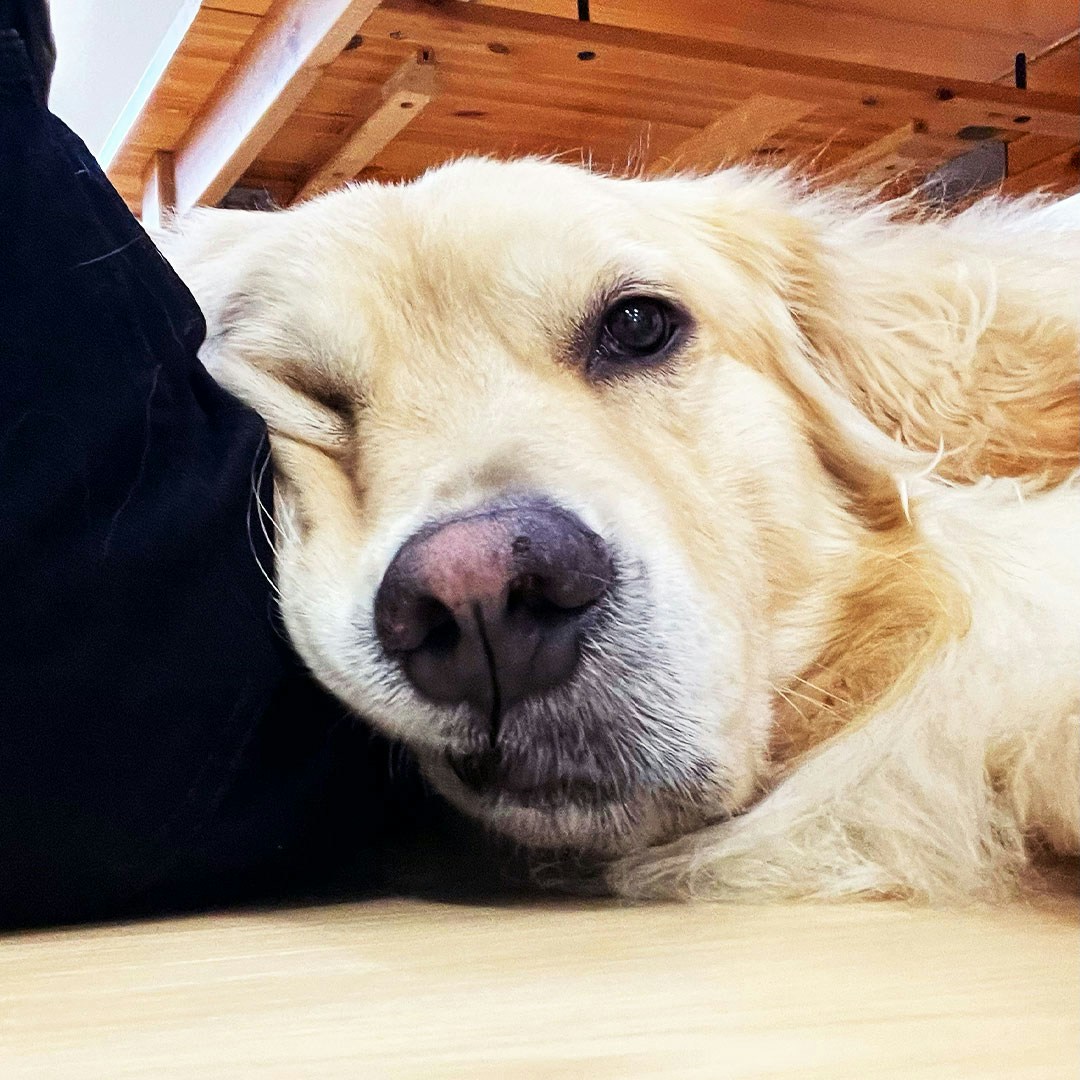 Go to becca becks's profile