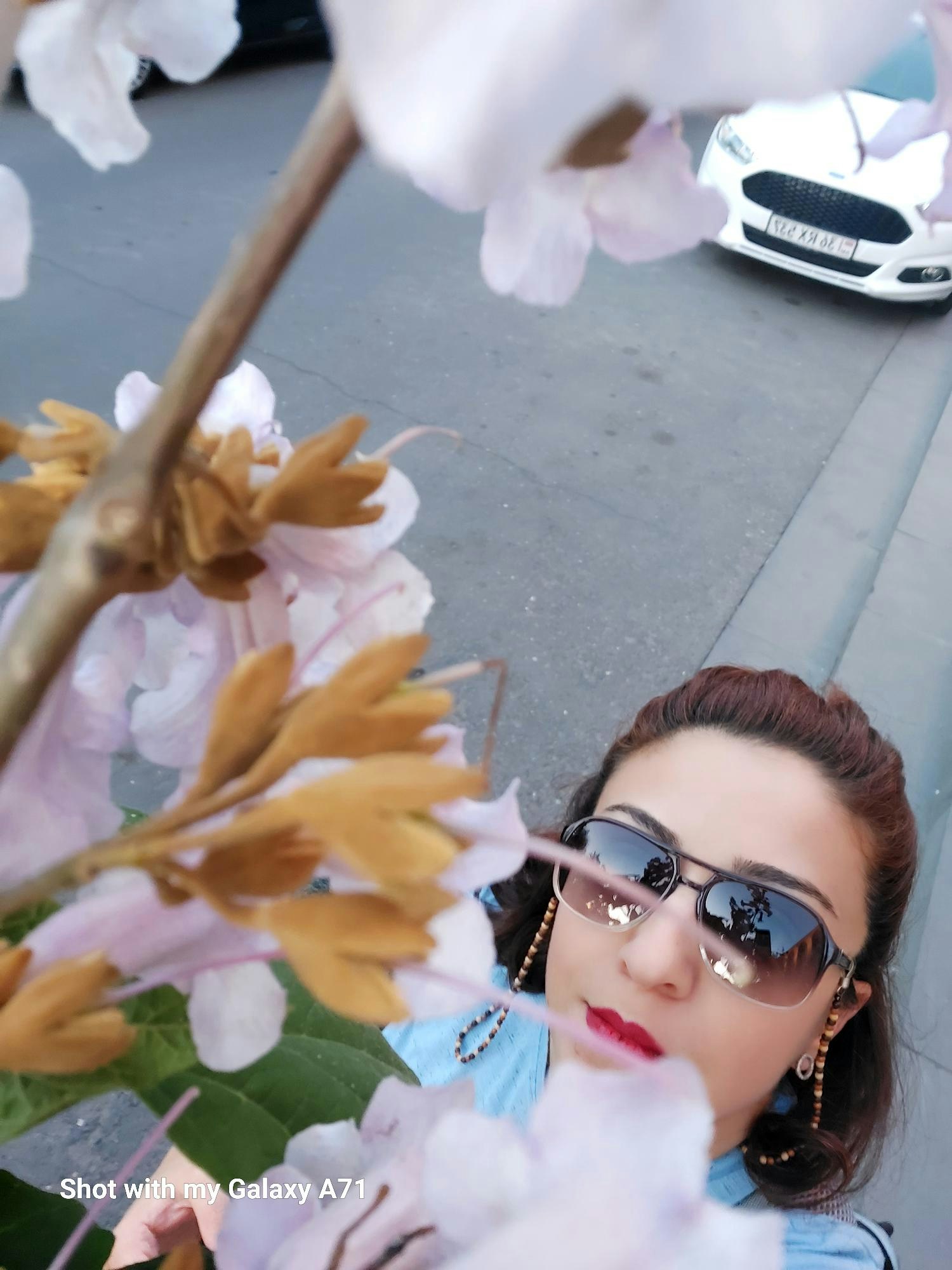 Go to Sona Balayan's profile