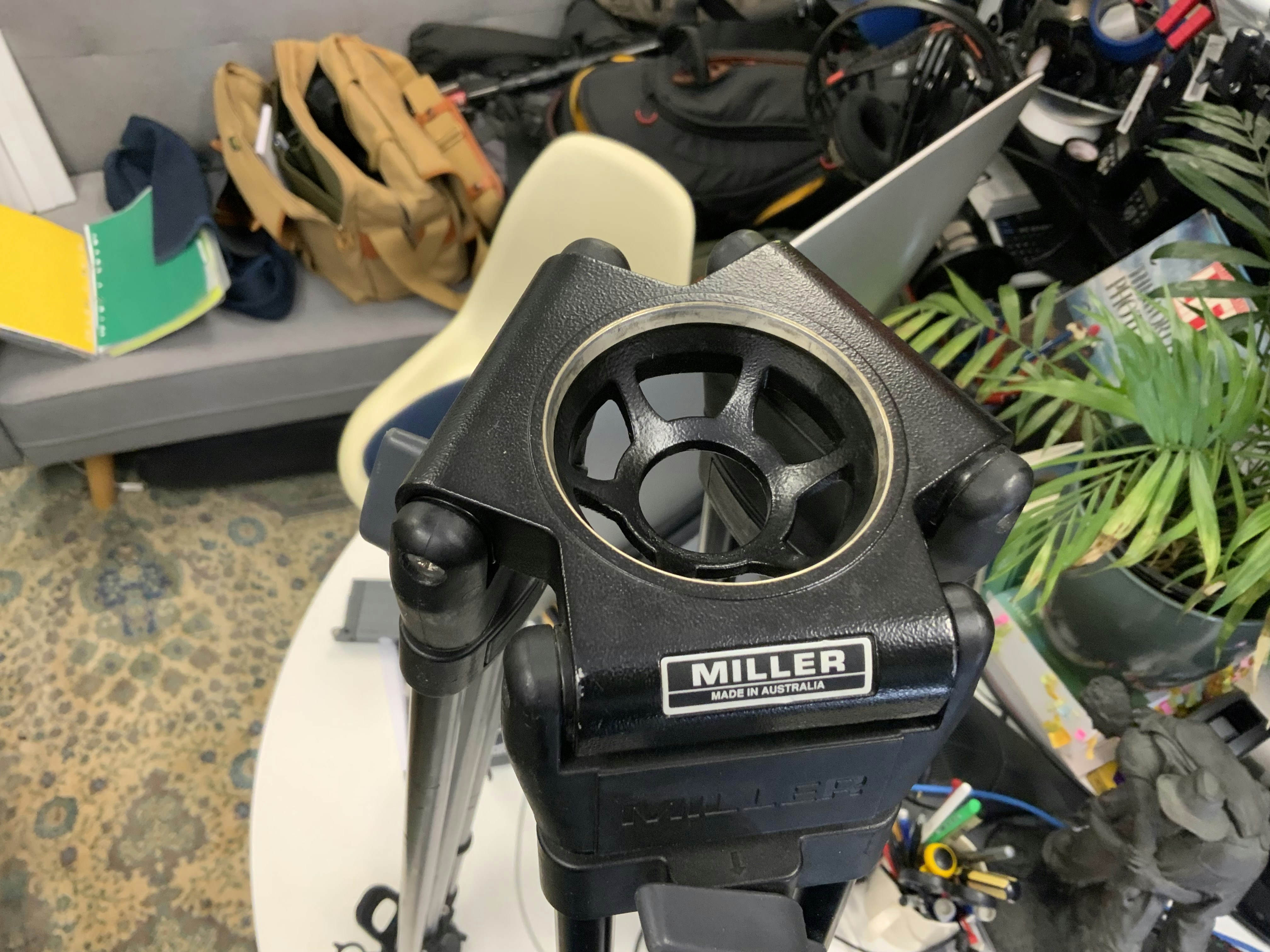 Go to David Jenkins's profile