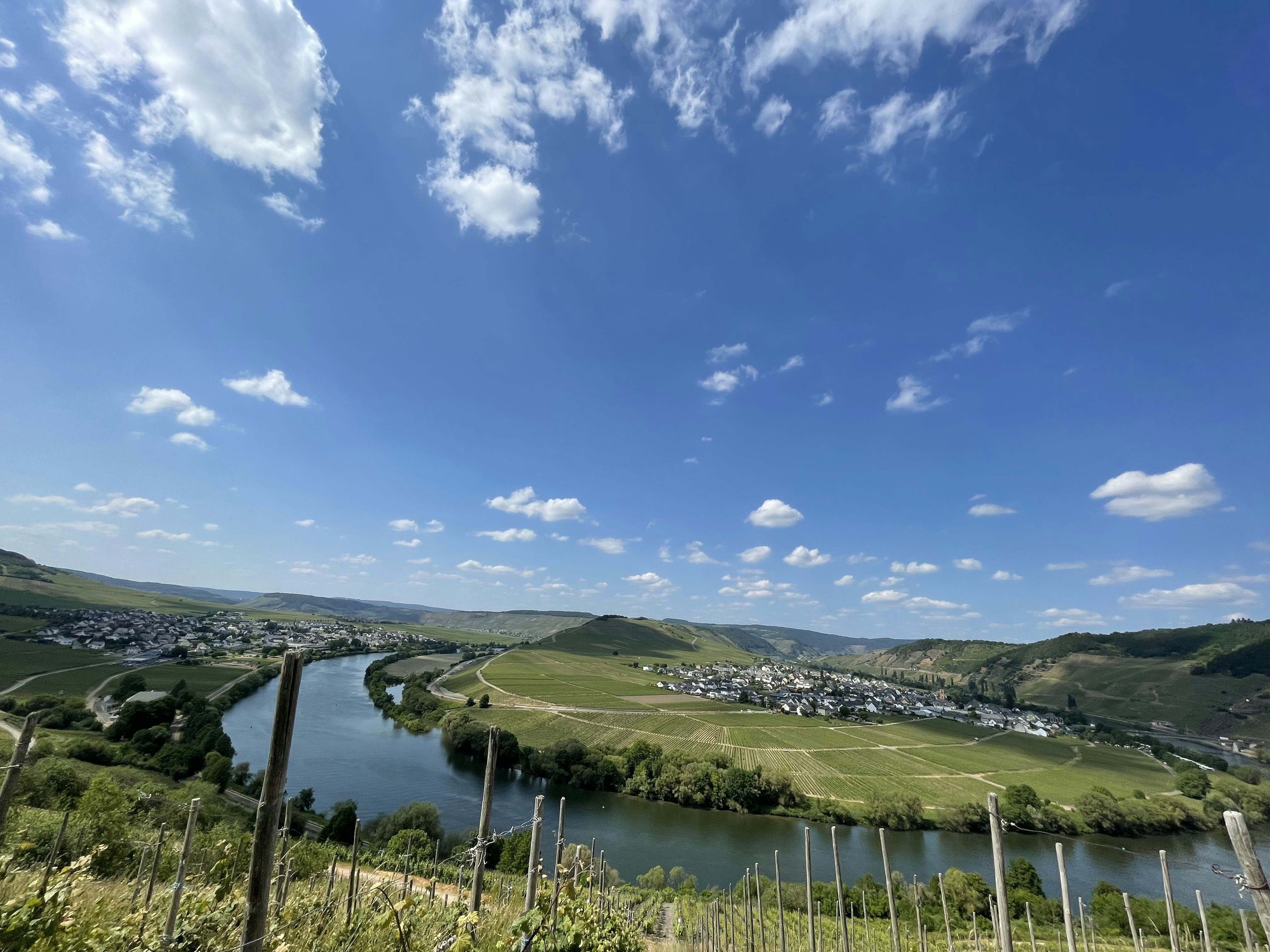 Go to Jake Mailloux's profile