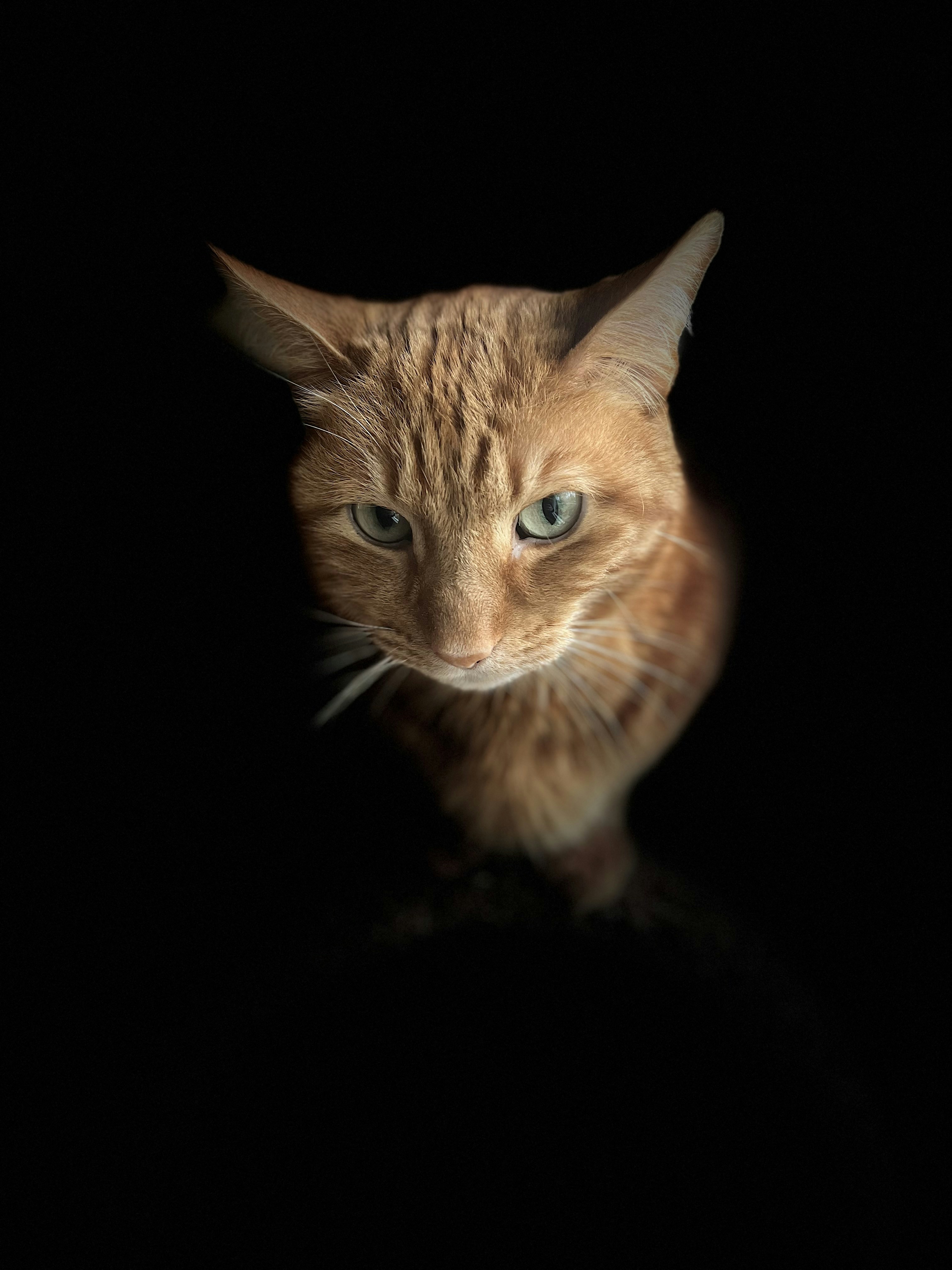 Go to Thomas Vater's profile