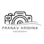 Avatar of user SN Pranav Krishna