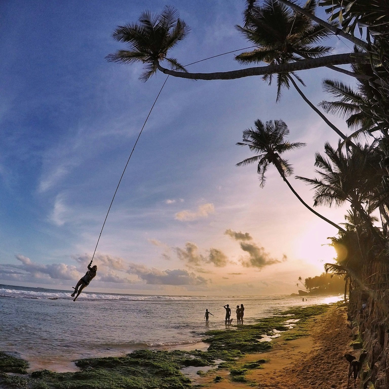 Go to Sara Deisinger's profile