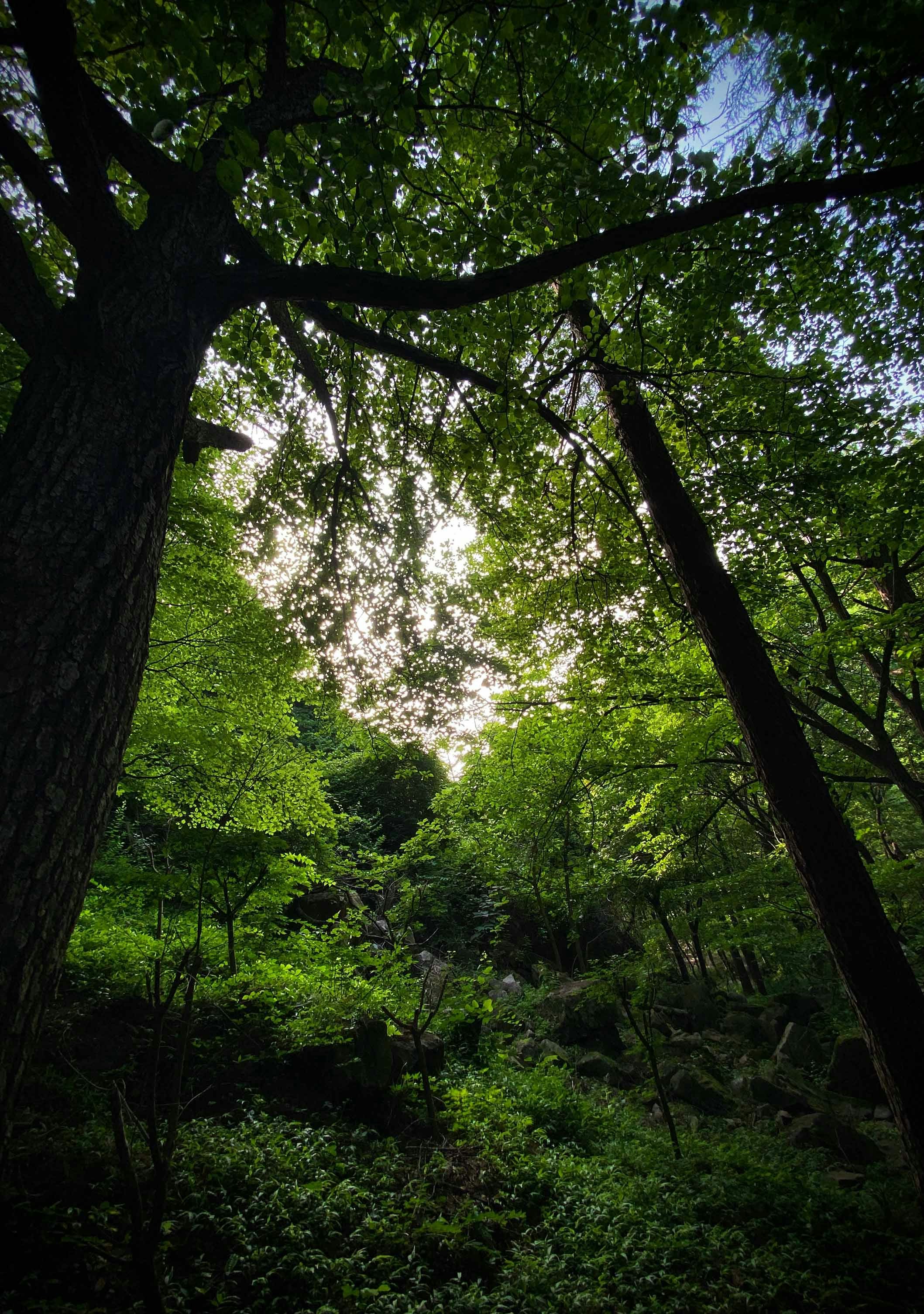 Go to Alaric Wang's profile