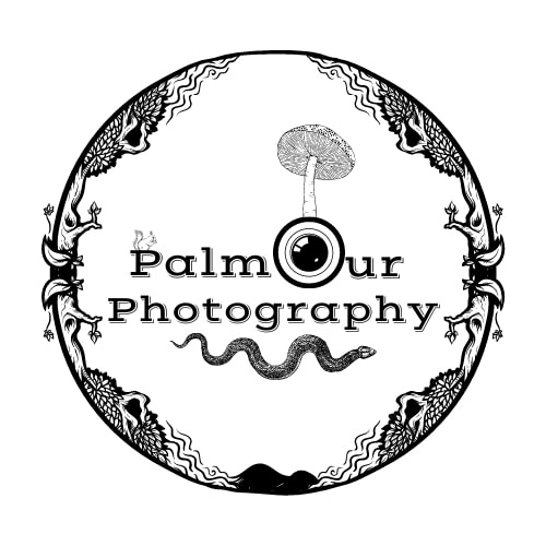 Zum Profil von Johnathan Palmour