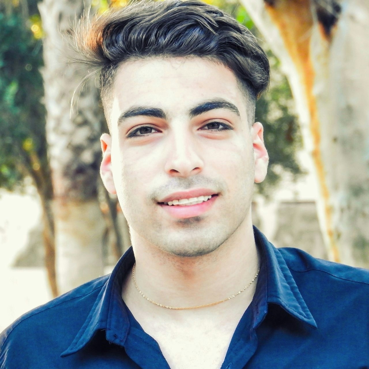 Go to Hesam Mohamadi's profile