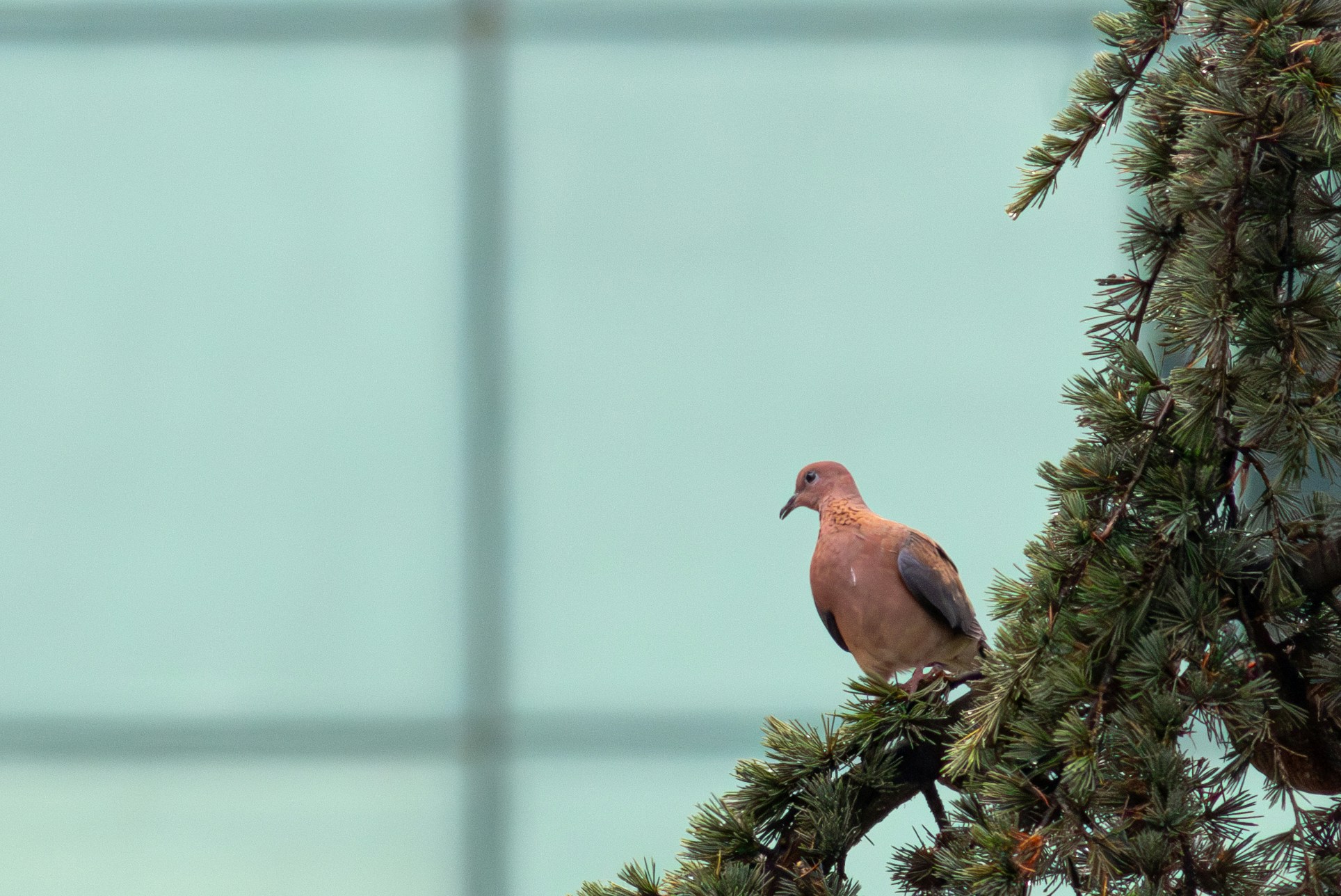 Go to Abdul Samet YILMAZ's profile