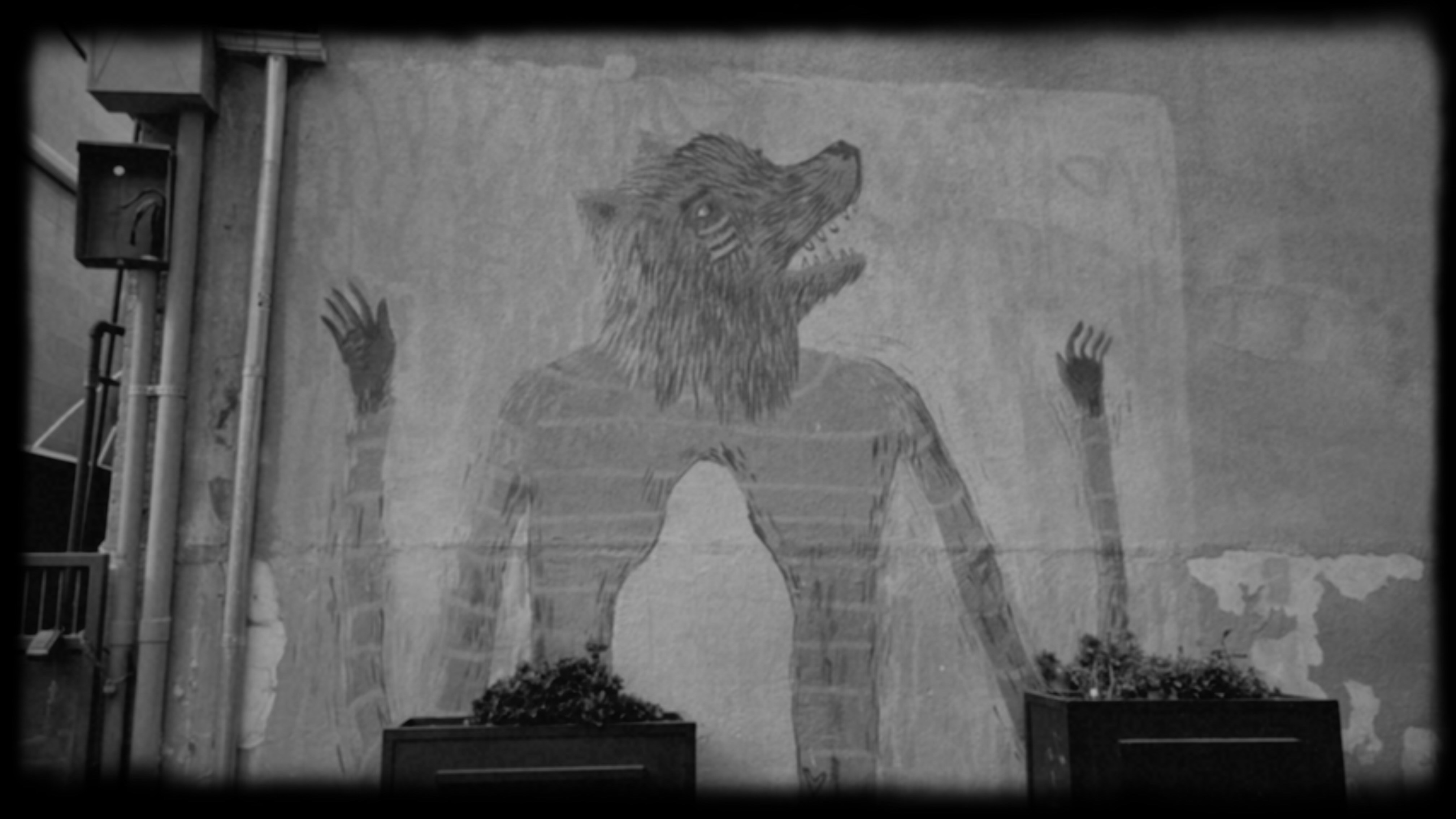 Go to LS R's profile