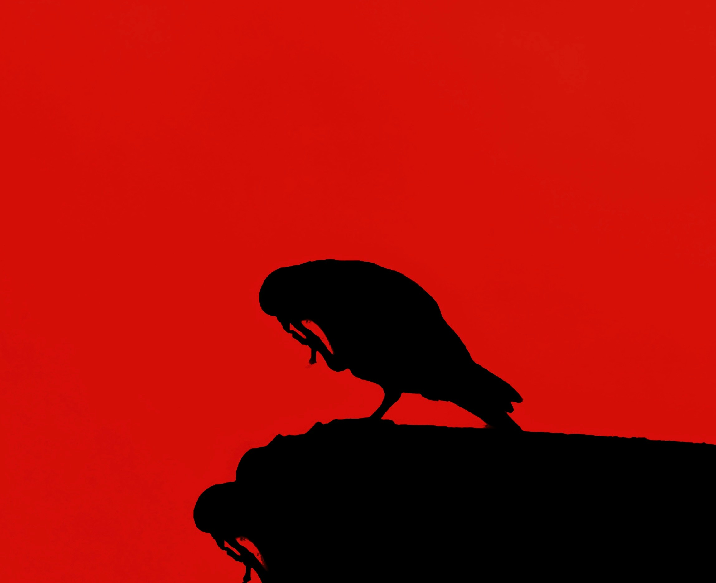 Go to Suffer Soul's profile