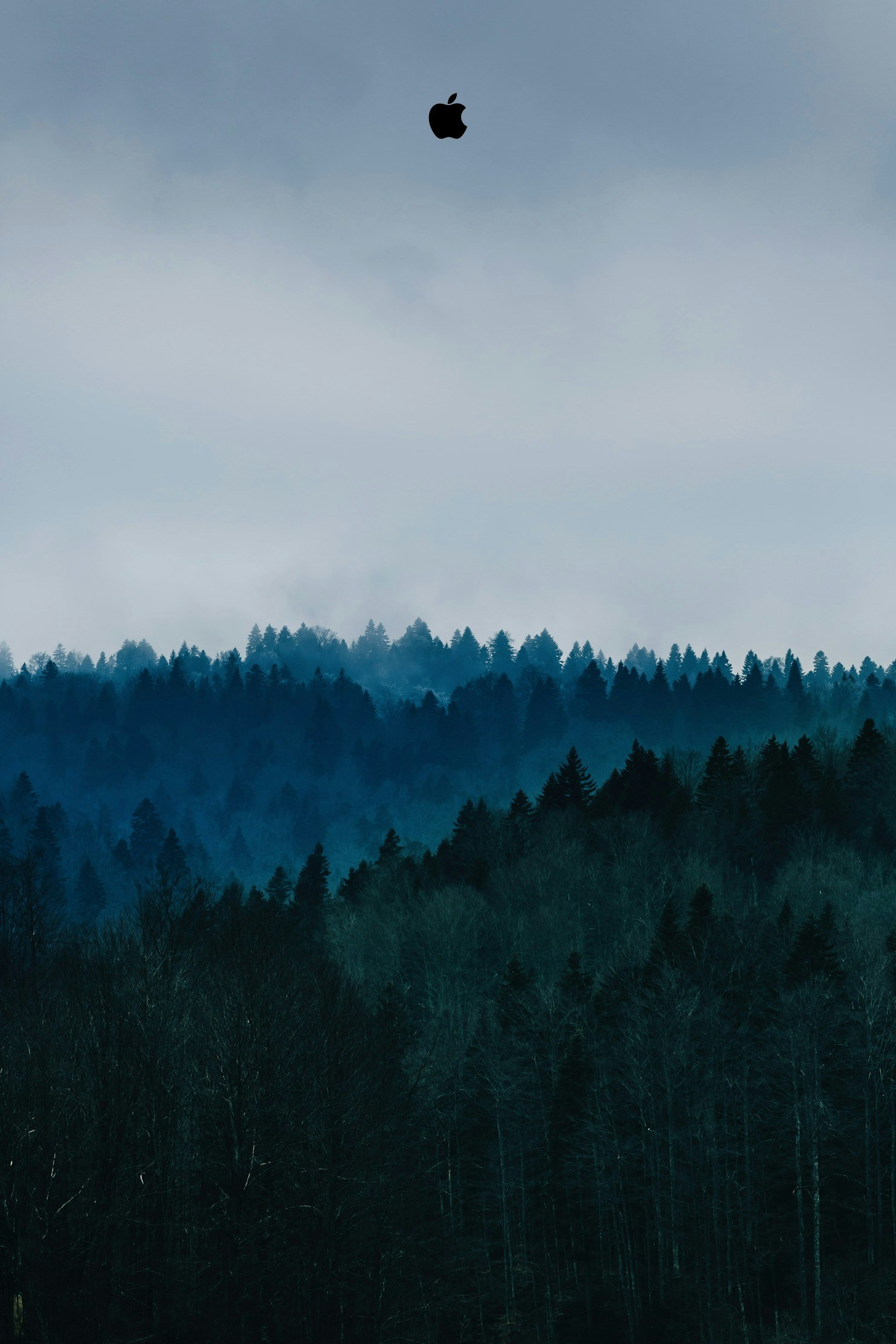 Ve al perfil de NotOnlyJames