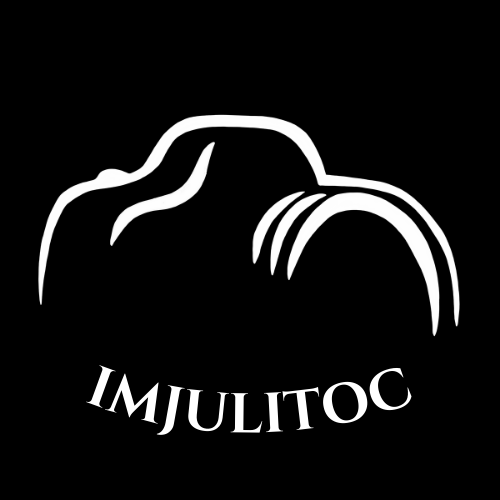Zum Profil von Julio Menéndez