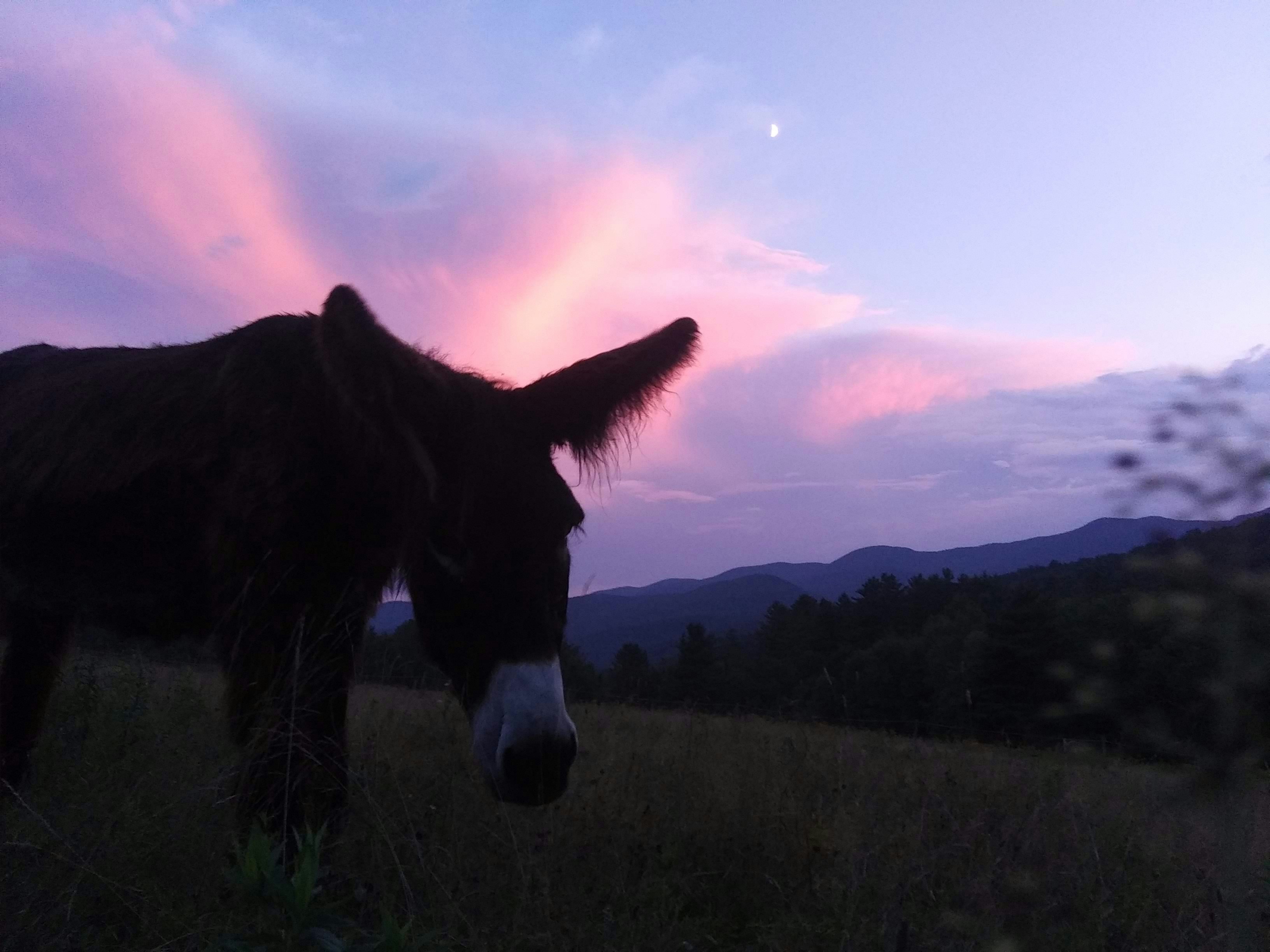 Go to Kealan Gottshall's profile