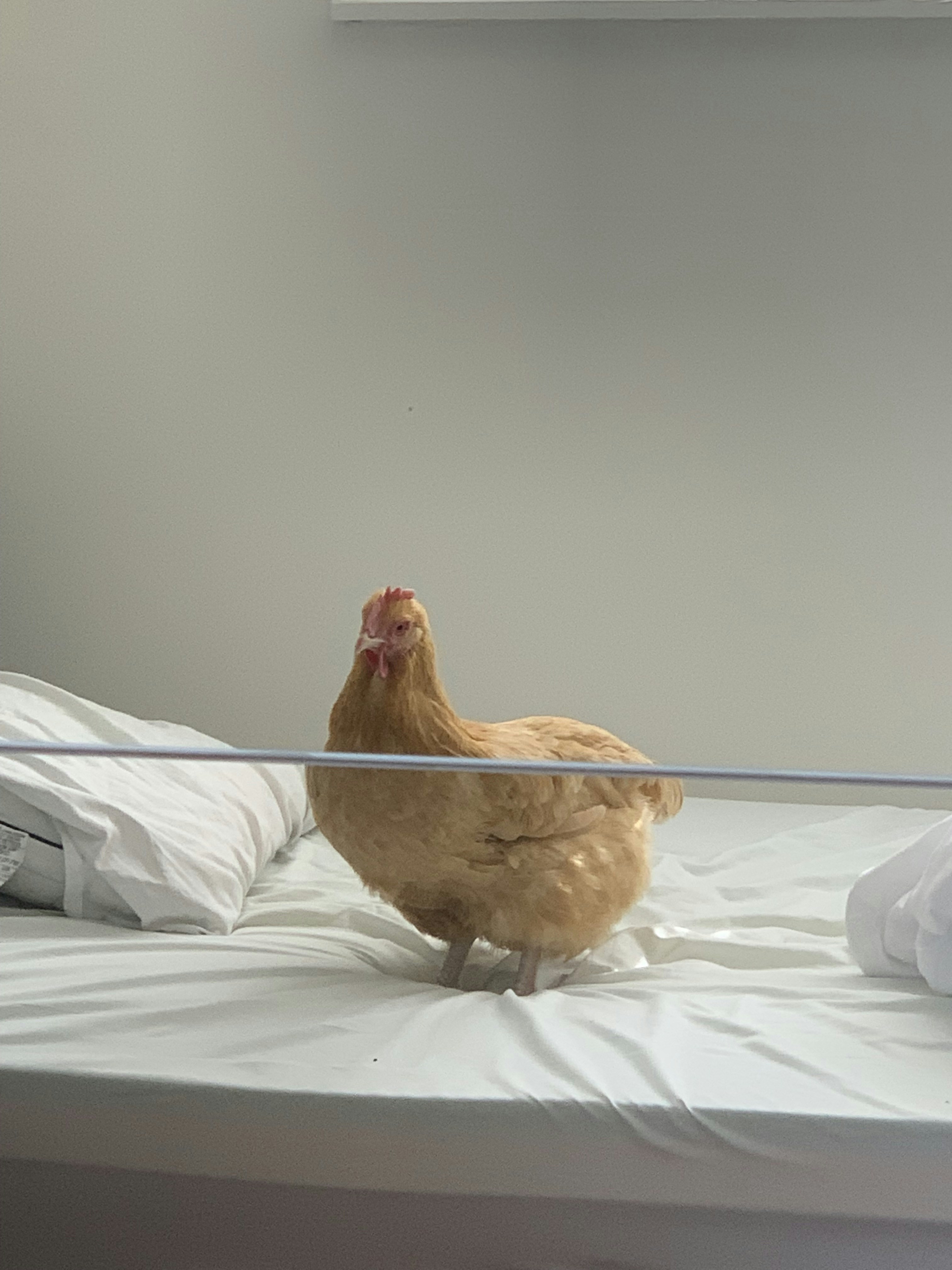 Vai al profilo di Kevin Bravo