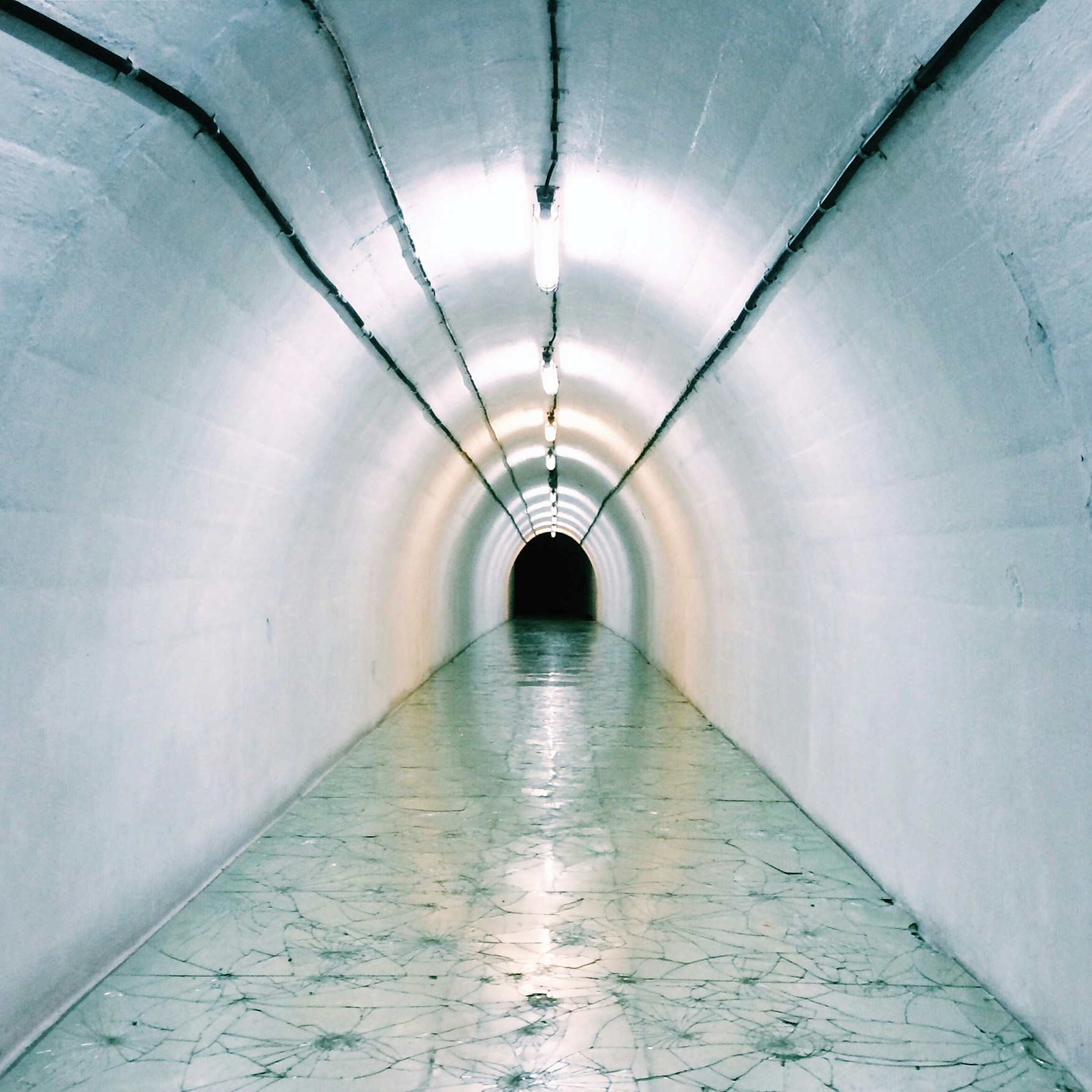 Go to Elimende Inagella's profile