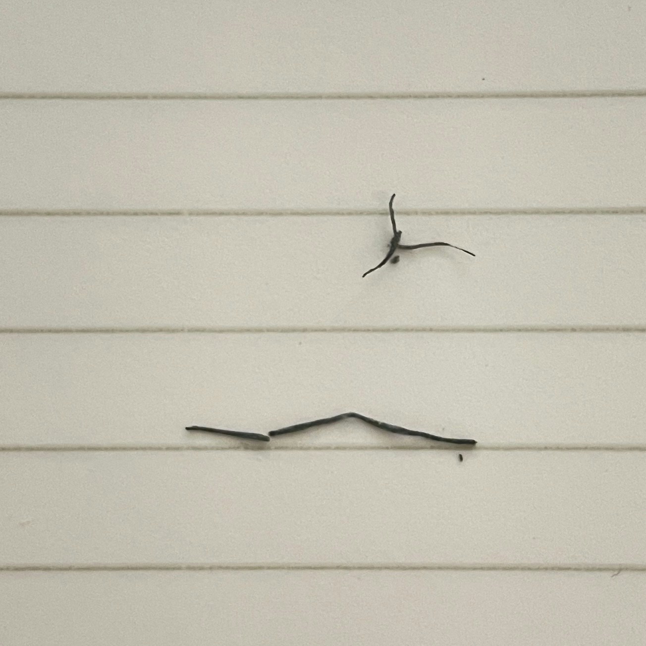 Go to Hazel Z's profile