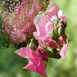 Go to Brigitte Elsner's profile