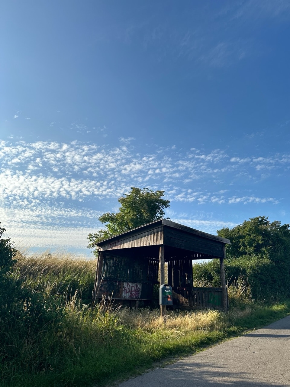 Go to Mustafa Tunahan Yazici's profile