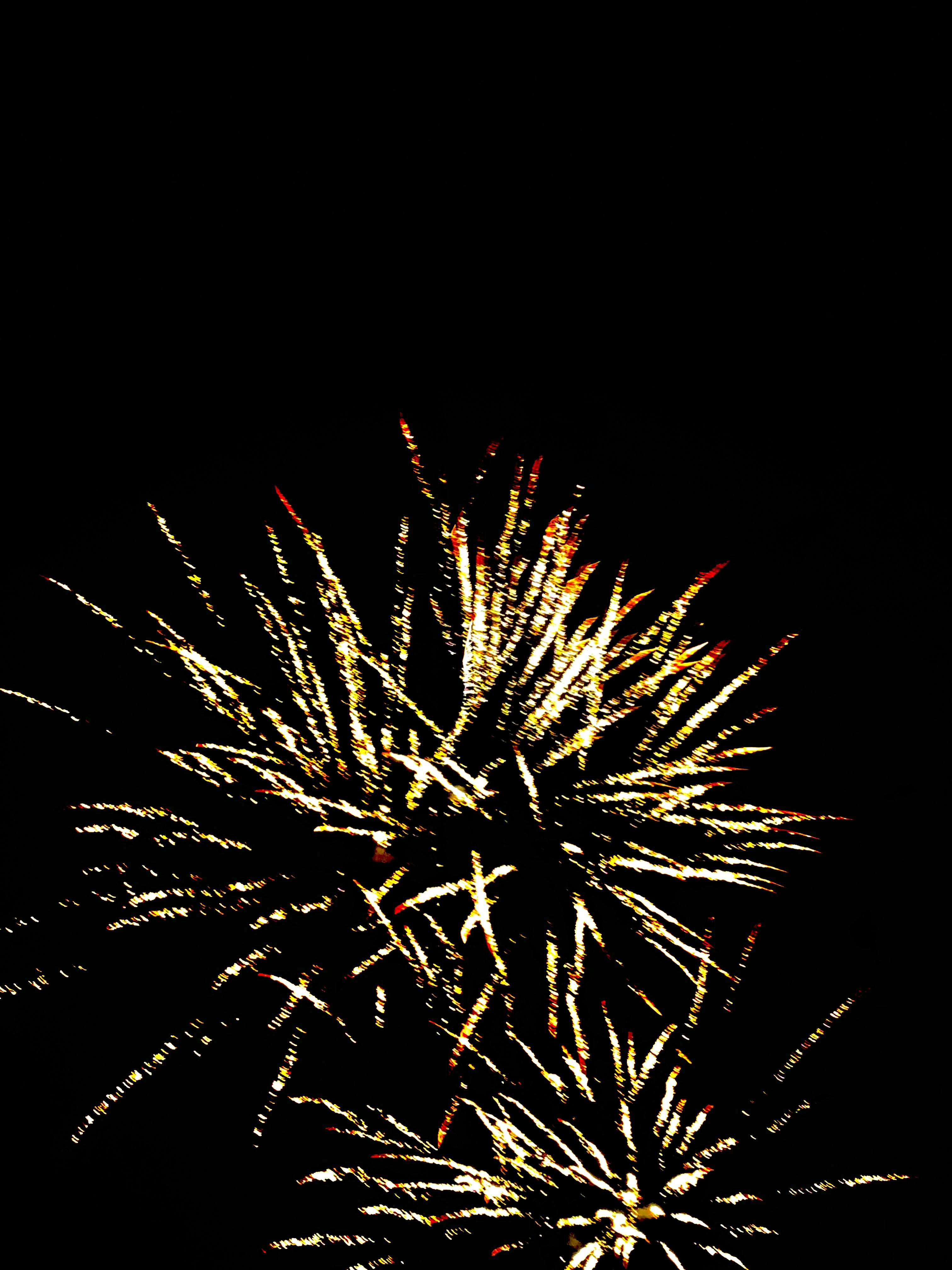 Go to paul BÉNARIAC's profile