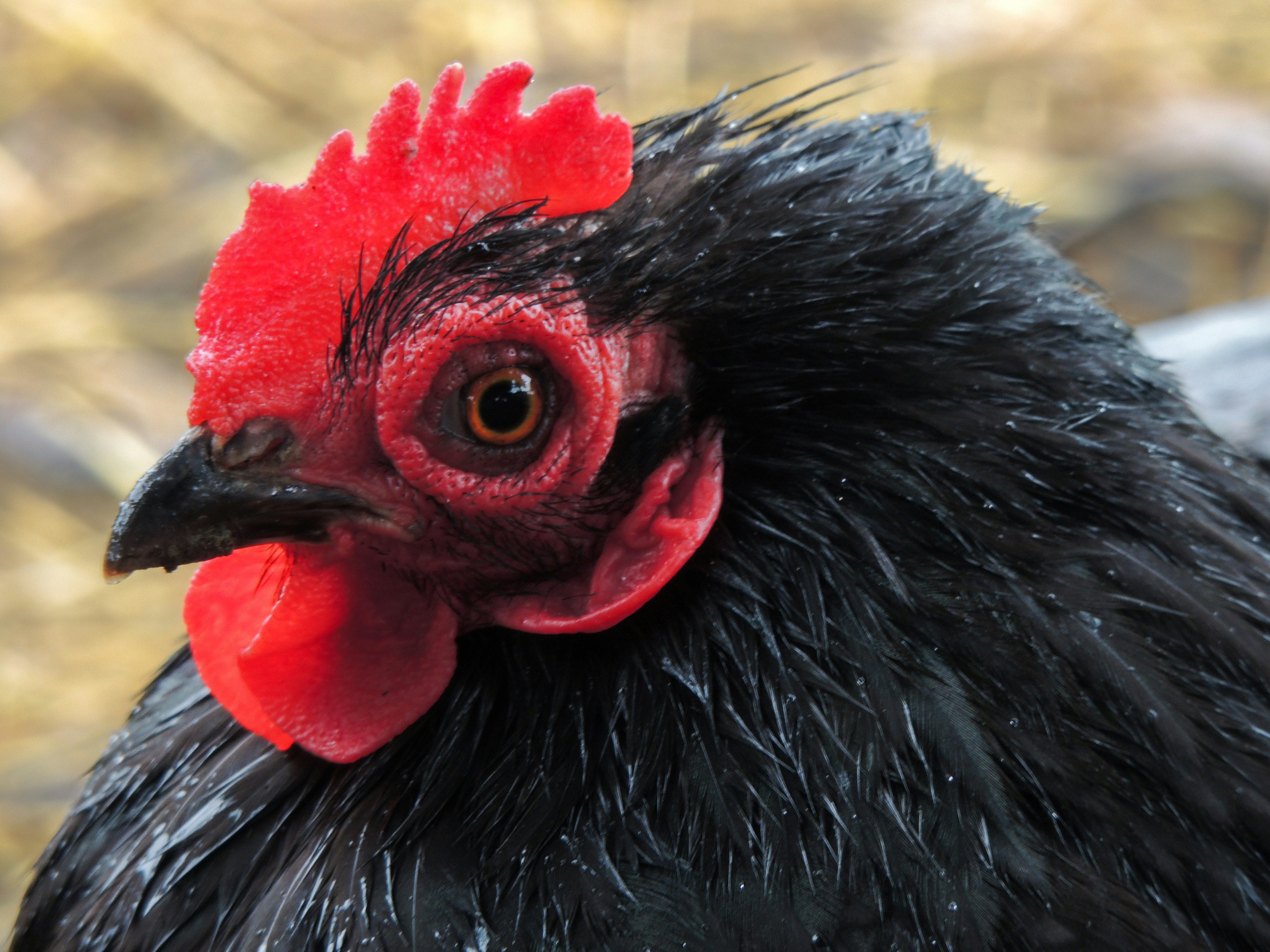 Go to Megan Octavia's profile