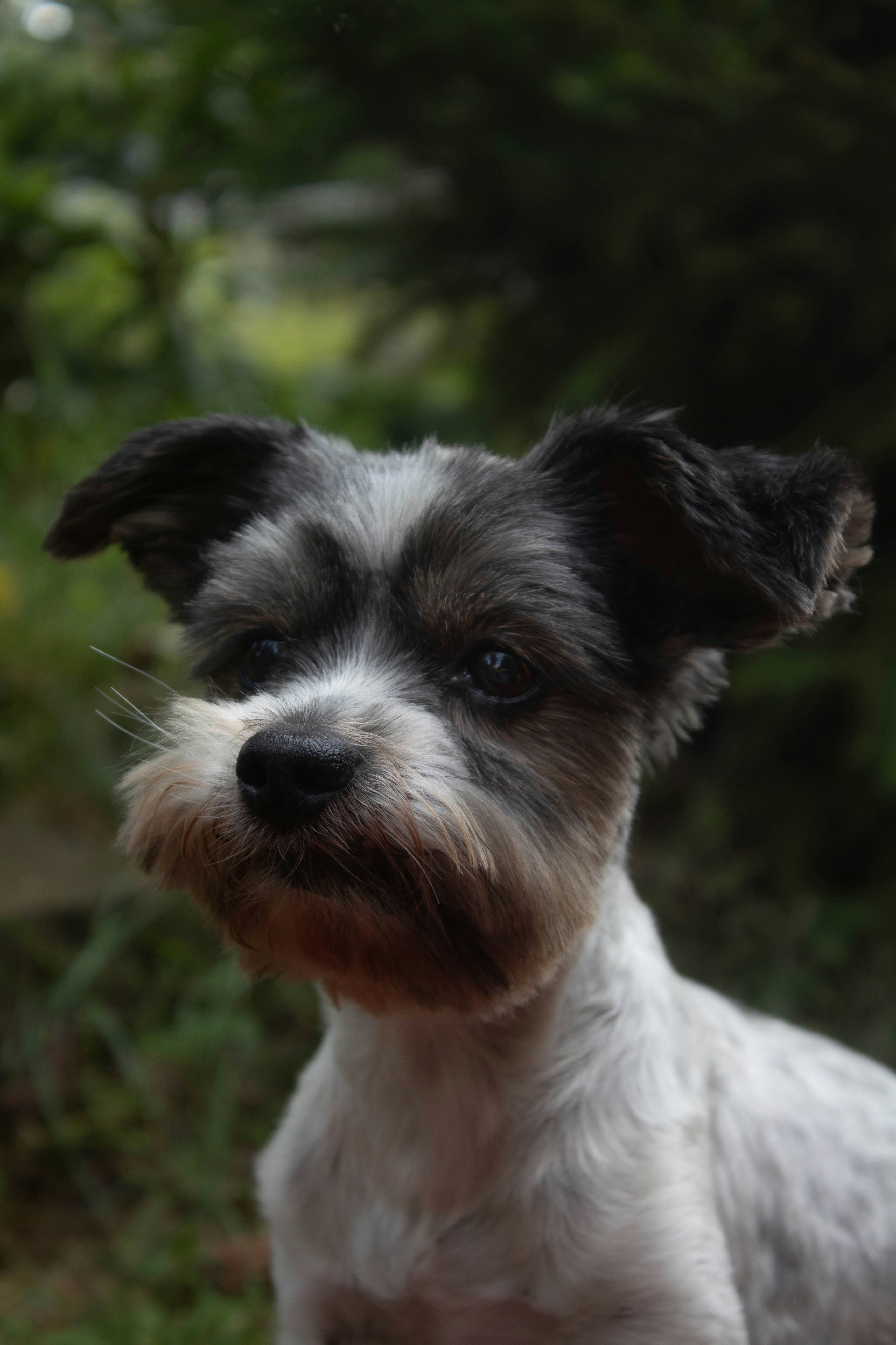 사용자 Jakub Moravec의 아바타