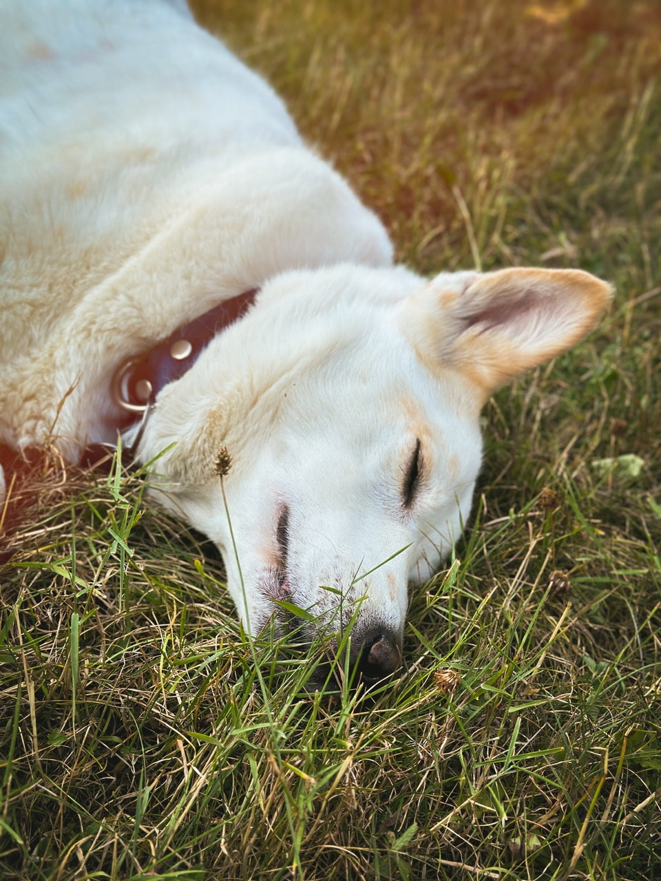 Go to Mai Phuong Bui's profile