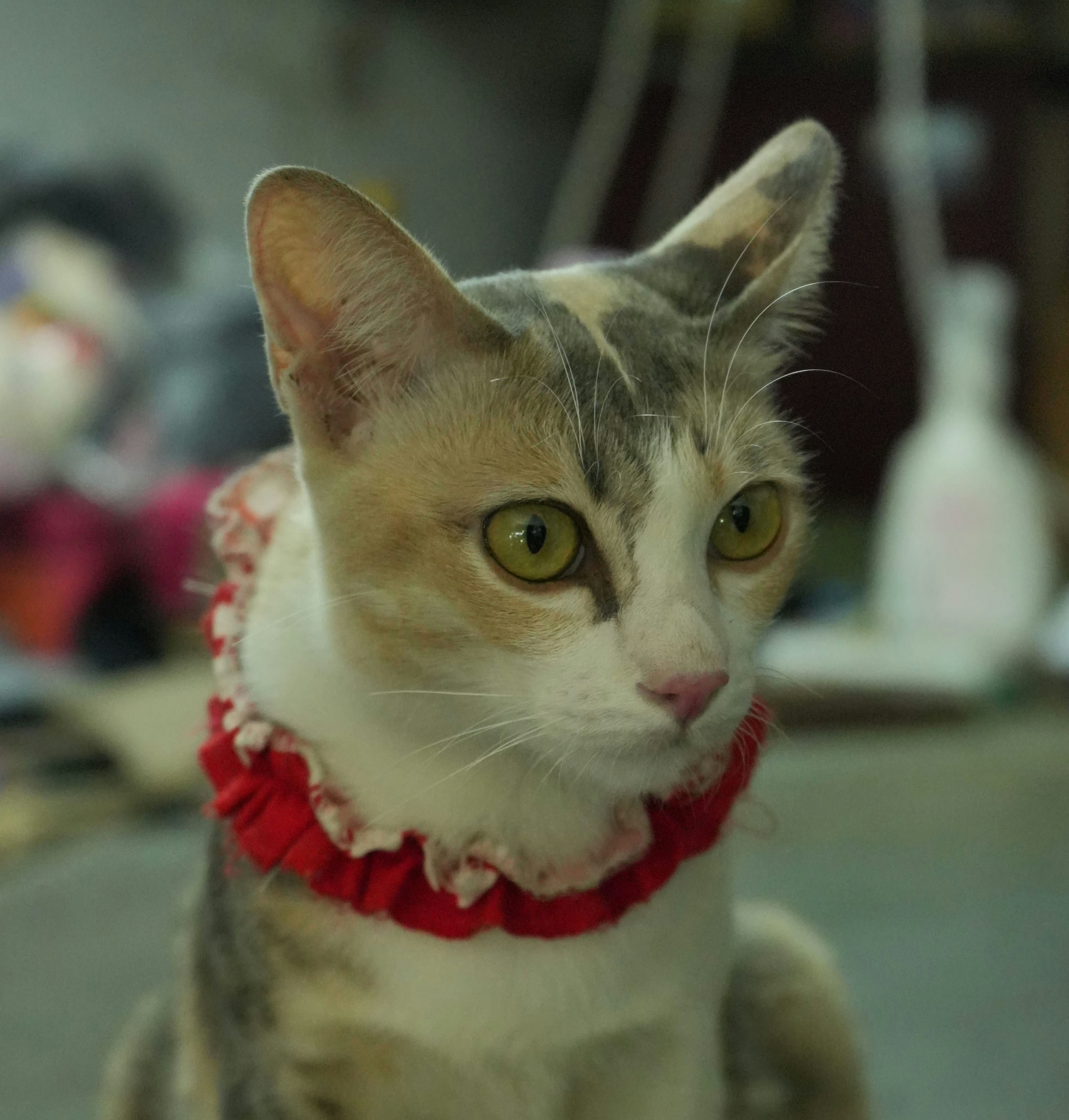 Go to THitima's profile