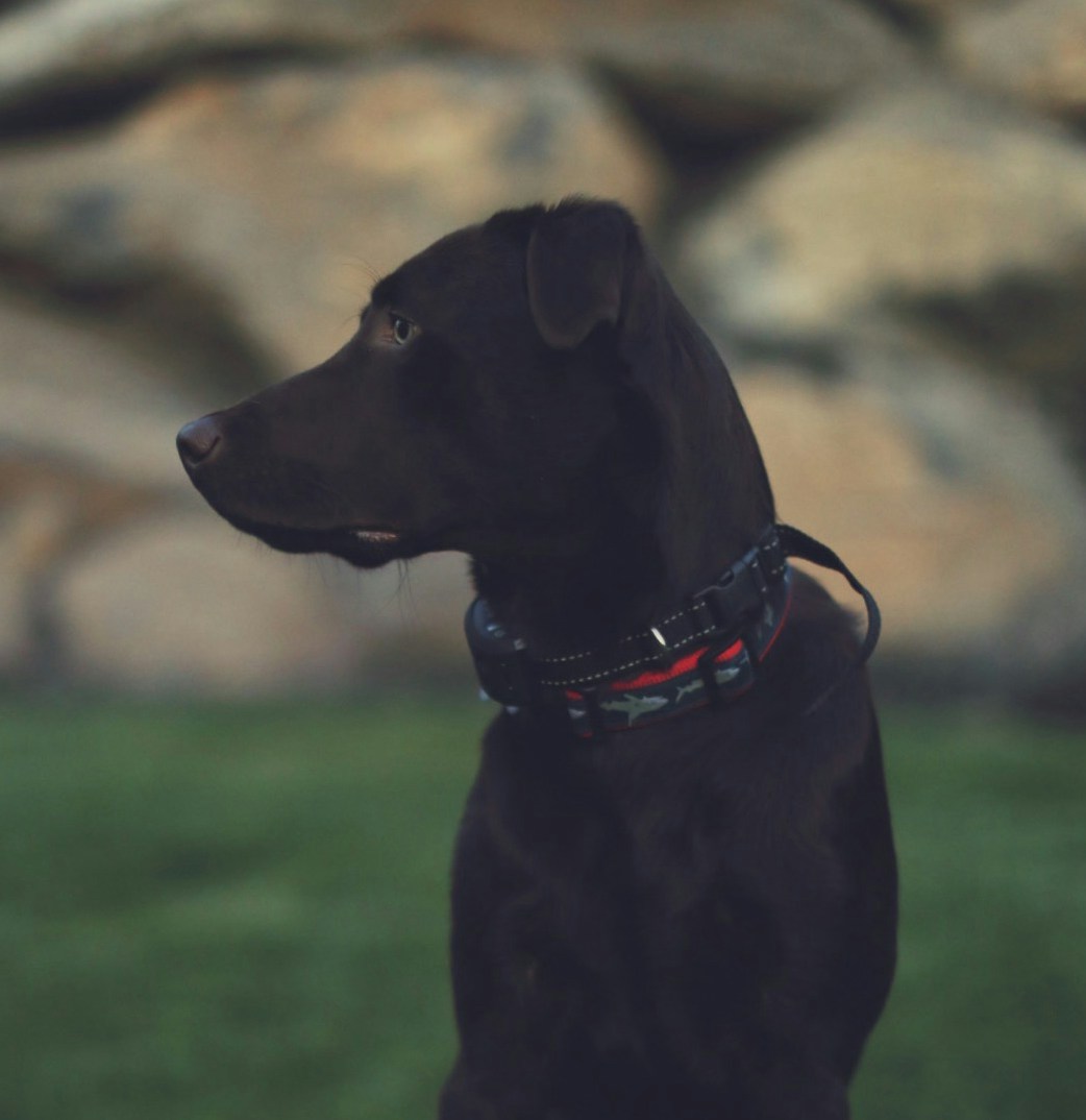 Go to NW Foster's profile