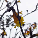 Go to Vitória Migliano's profile