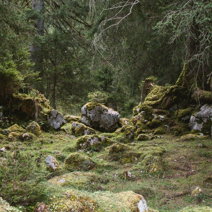 Go to Nalani ✨️'s profile