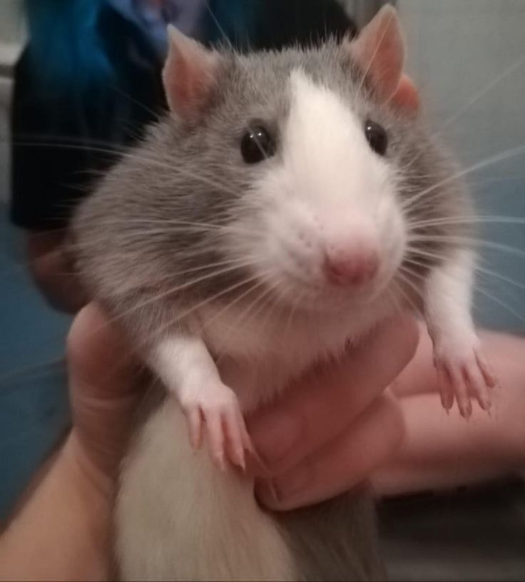 Go to Vitalii Onyshchuk's profile