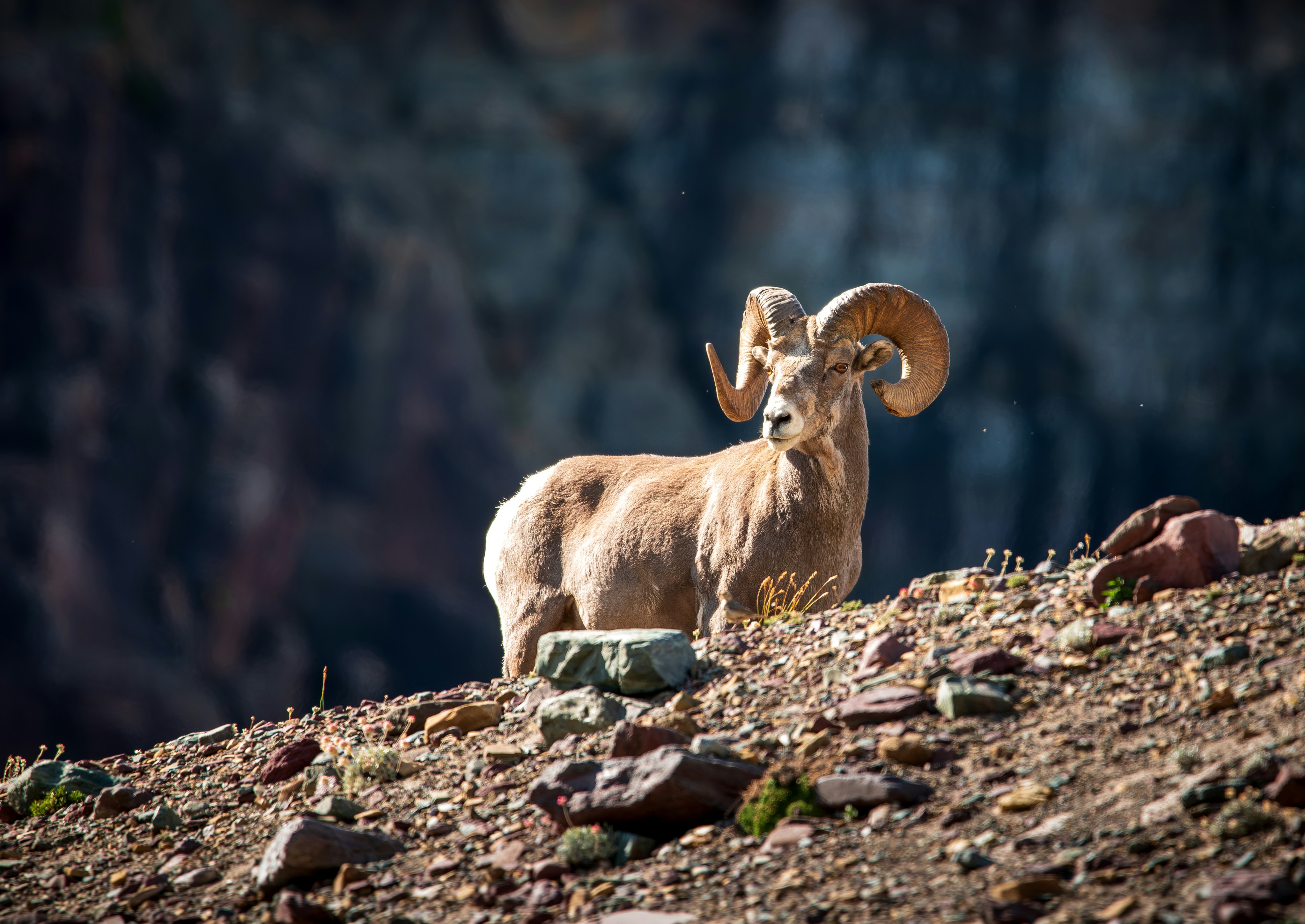 Go to Clayton Chase's profile