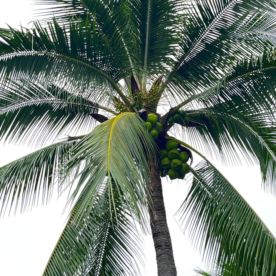 Go to Zhijian Wu's profile