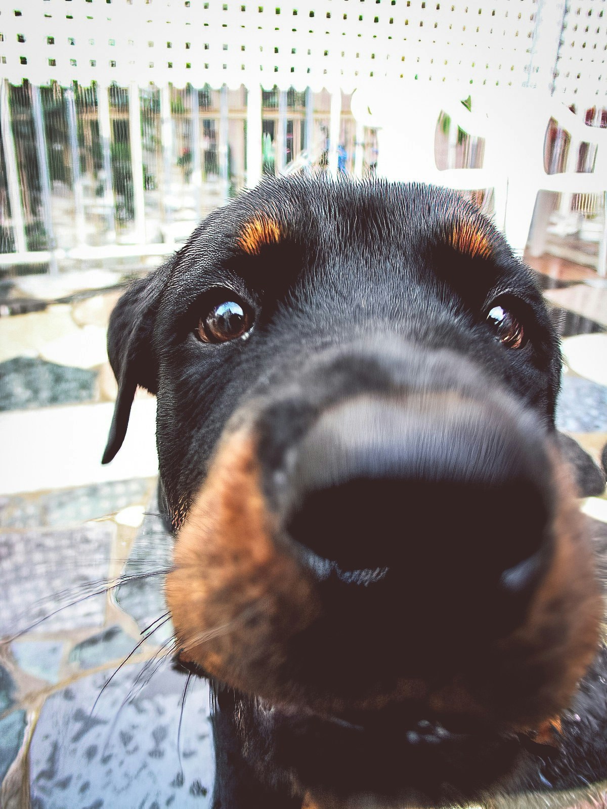 Accéder au profil de willy wong