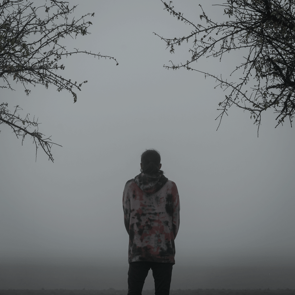 Go to Behnam Samipour's profile